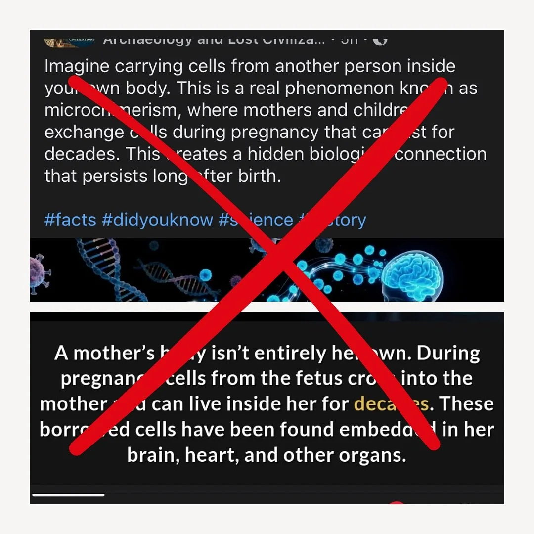 The framing of this post is a great example of how women&rsquo;s biology is so often described through a patriarchal or male-centered lens. And I like men! Much as Cher famously explained.

&ldquo;Imagine carrying cells from another person inside you