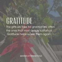 Every year, the holidays stir up things we don&rsquo;t always talk about &mdash; old wounds, unmet expectations, loneliness, overstimulation, grief woven in with joy.

That&rsquo;s why I created the Gentle Gratitude Series &mdash; a FREE daily email 