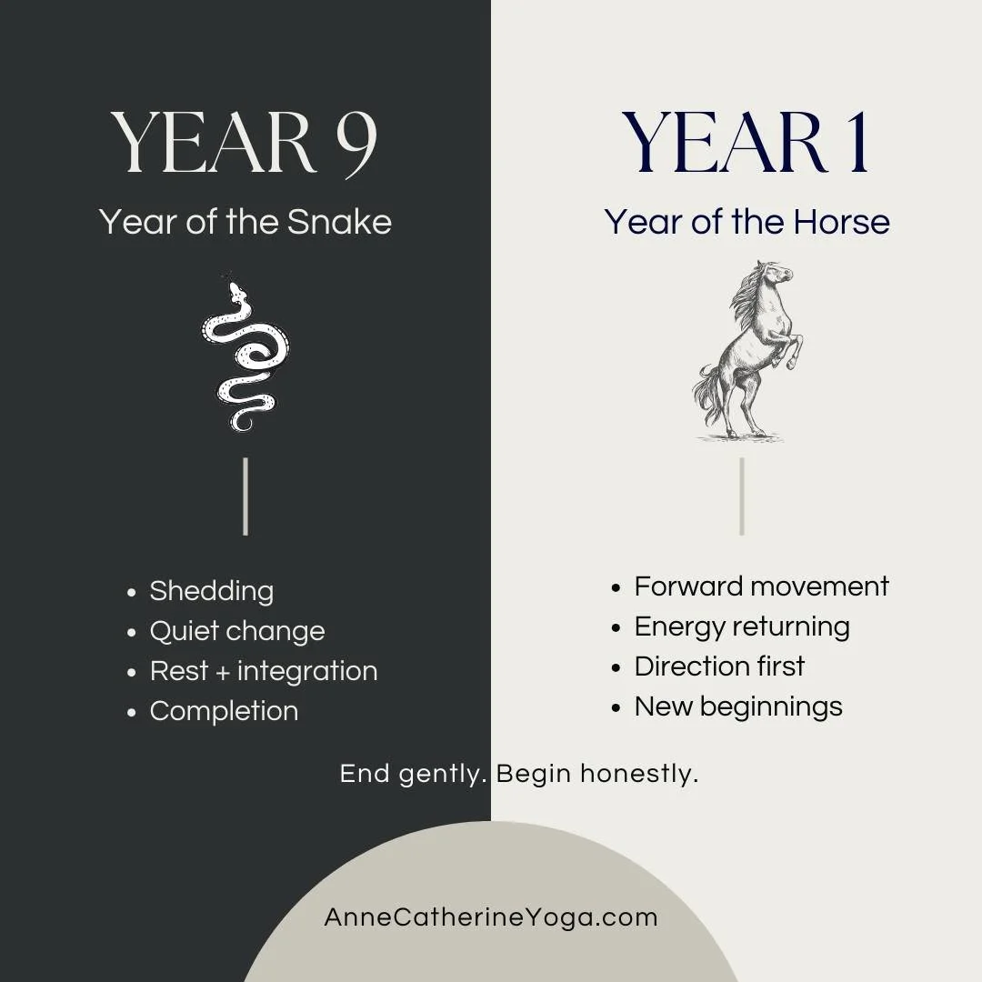 Two different seasons.
Two different kinds of wisdom.

The Year of the Snake asks us to shed, rest, and let things finish.
The Year of the Horse invites movement, clarity, and honest beginnings.

End gently. Begin honestly.

If you want to explore th