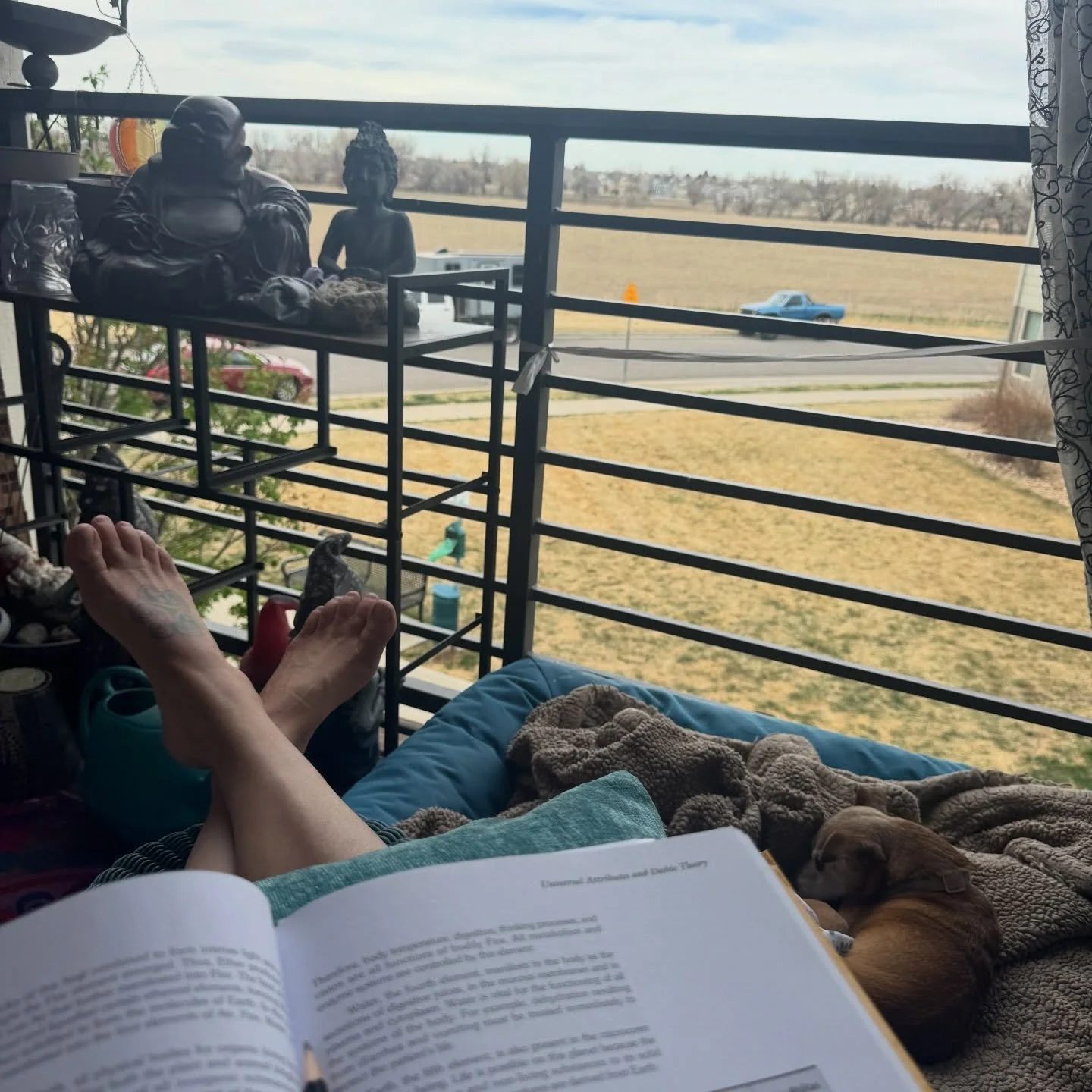 It&rsquo;s a nice day for continuing education with Dr. Vasant Lad&rsquo;s Textbook of Ayurveda 🥰