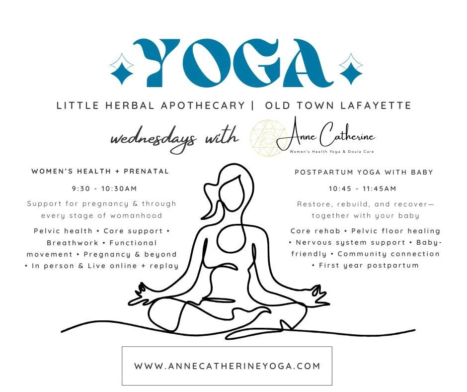 🌿 Now Enrolling: Weekly Yoga in Old Town Lafayette 🌿

I&rsquo;m so excited to finally share this ✨

After many conversations and thoughtful feedback from this community, I&rsquo;m honored to be offering these classes again&mdash;now in partnership 