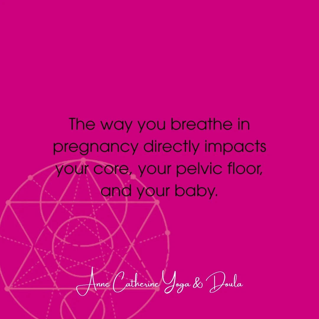 Breath is the foundation of everything.

Pause and take one now.

#Breathwork #PrenatalYoga #PregnancyHealth #CoreAndBreath #MindfulPregnancy