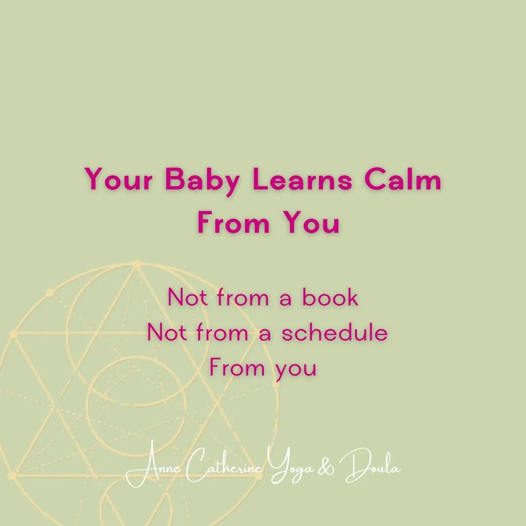 Your baby doesn&rsquo;t learn how to calm themselves on their own.

They learn it through you.

Through your breath.
Your presence.
Your nervous system.

This is called co-regulation&mdash;and it&rsquo;s one of the most important foundations of infan