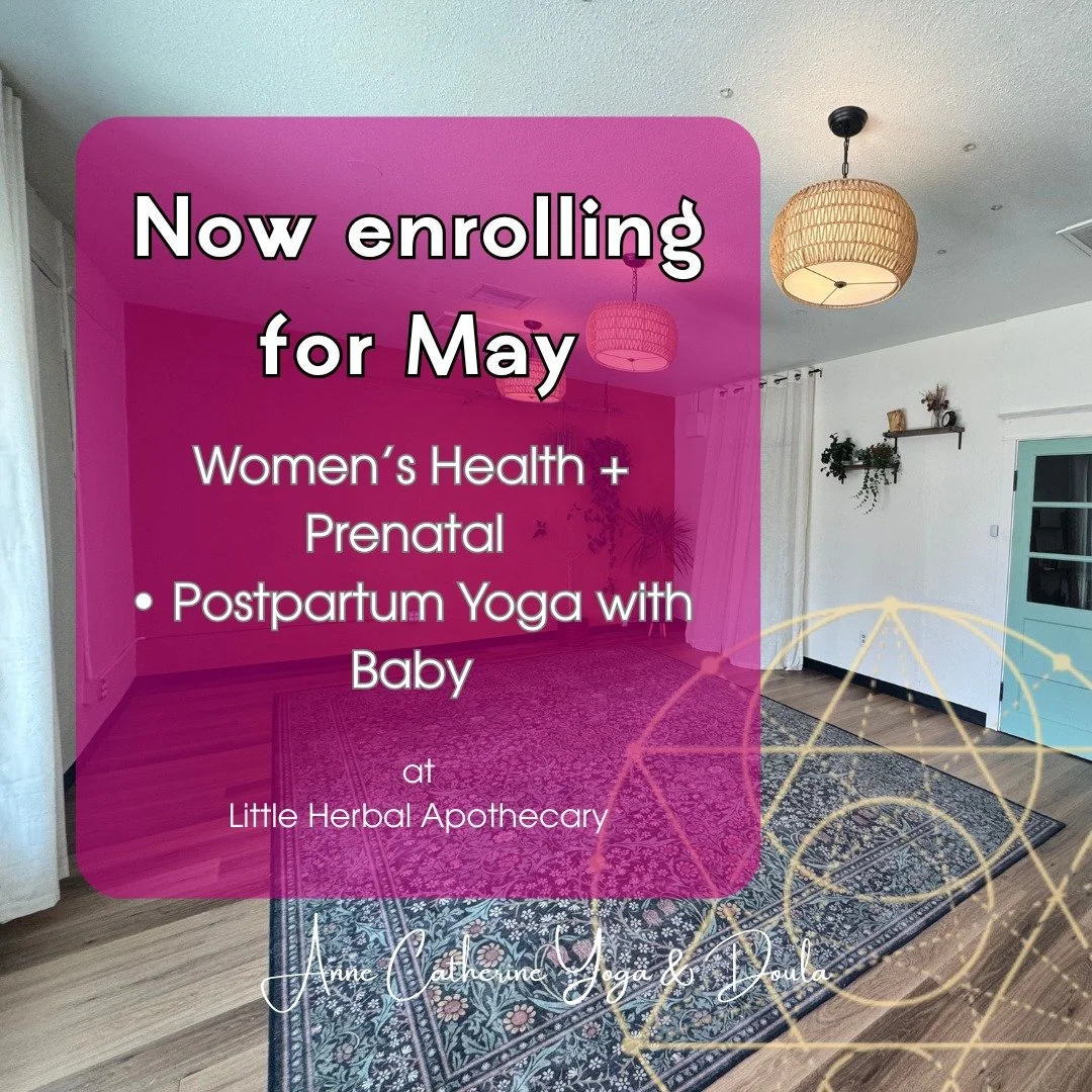 Now enrolling for May 🤍

This is more than a class.
It&rsquo;s a weekly place to land.

To move.
To breathe.
To be supported by someone who understands this season of life.

I would love to welcome you in.

✨ Details + registration:
https://www.anne