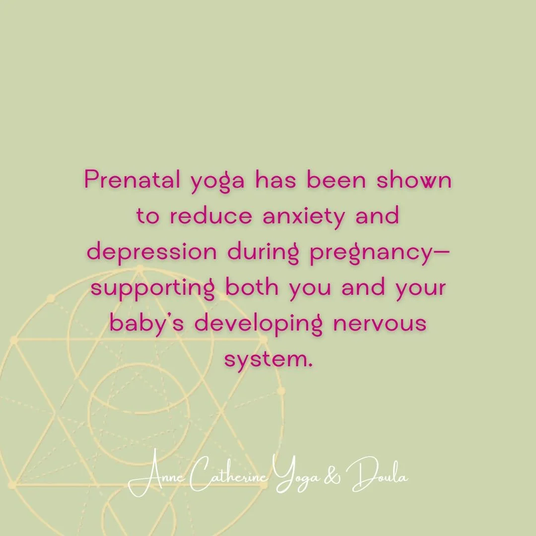 Your mental health matters. And it shapes your baby&rsquo;s earliest experience of the world&mdash;long before birth.
In my classes, we support both.
🔗 Learn more + join us: annecatherineyoga.com/prenatal-postpartum-womens-health-yoga

LINK IN BIO

