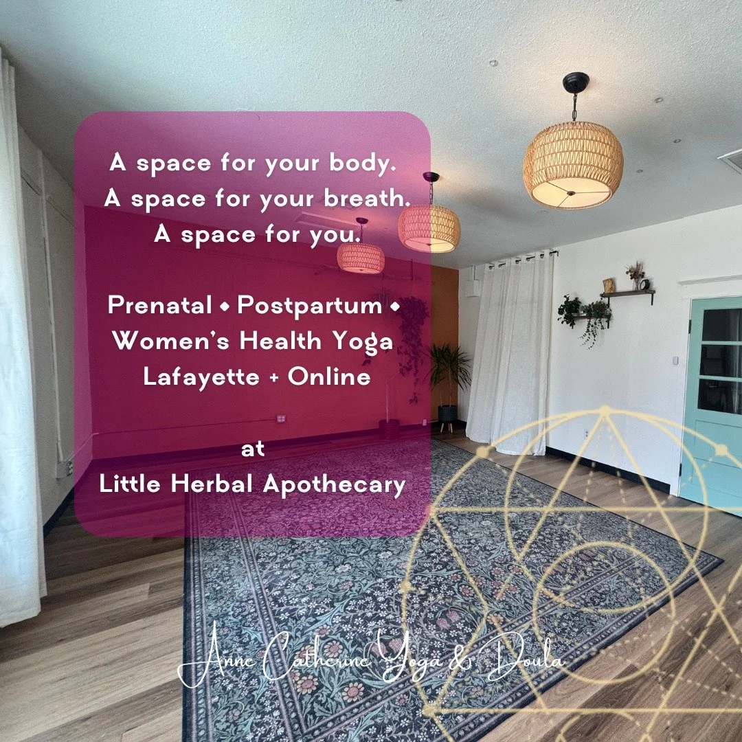 If you&rsquo;ve been reading these posts and thinking&hellip;
&ldquo;this is what I&rsquo;ve been needing&hellip;&rdquo;

This is where you experience it.

My classes are:
&bull; small and supportive
&bull; grounded in real anatomy + functional movem