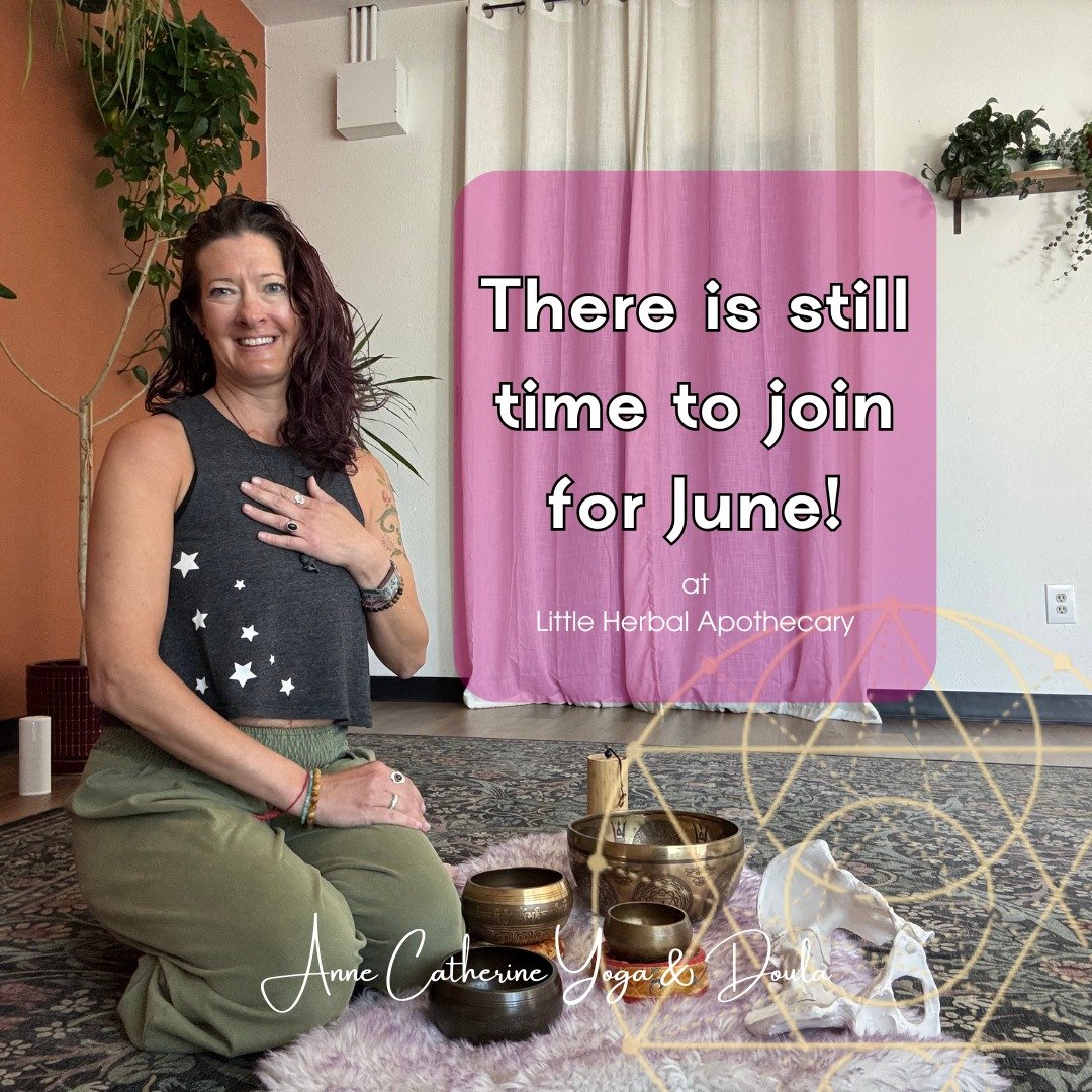 Still thinking about joining?

There's still time&mdash;but not much.

I have room for a few more women in my June Prenatal + Women's Health Yoga  and Mom + Baby classes.

✨ Monthly Membership: $110
✨ Drop-In Classes: $30

If you've been looking for 