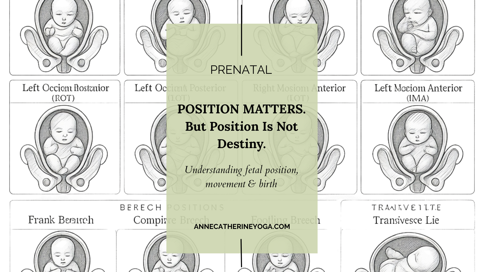 Optimal Fetal Position: How Yoga Can Support Pregnancy and Prepare You for Birth