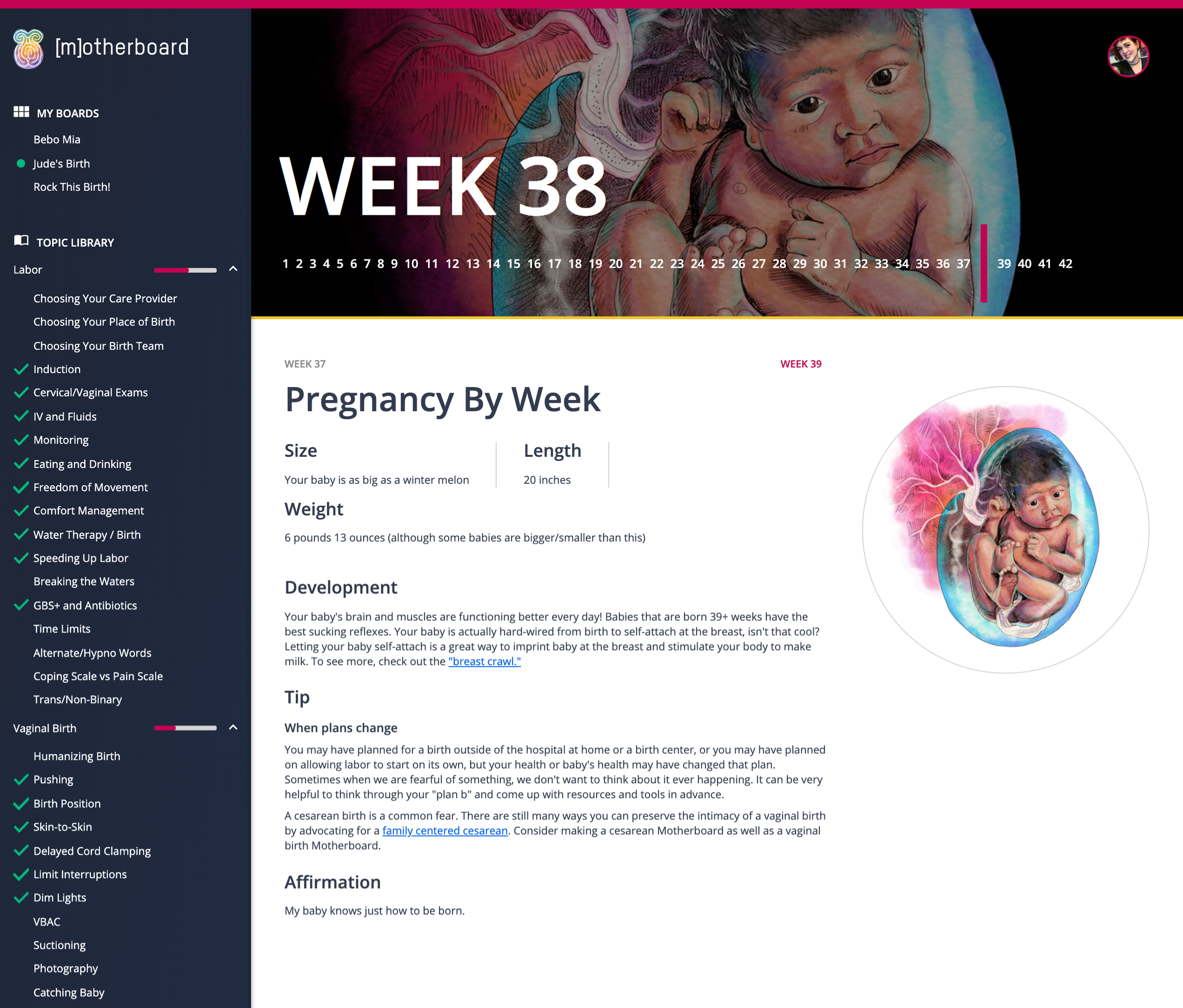 Pregnancy week 38 summary from Motherboard, featuring baby's size as a winter melon and length of 20 inches. Includes information on development and tips for birth planning, alongside a fetal illustration.