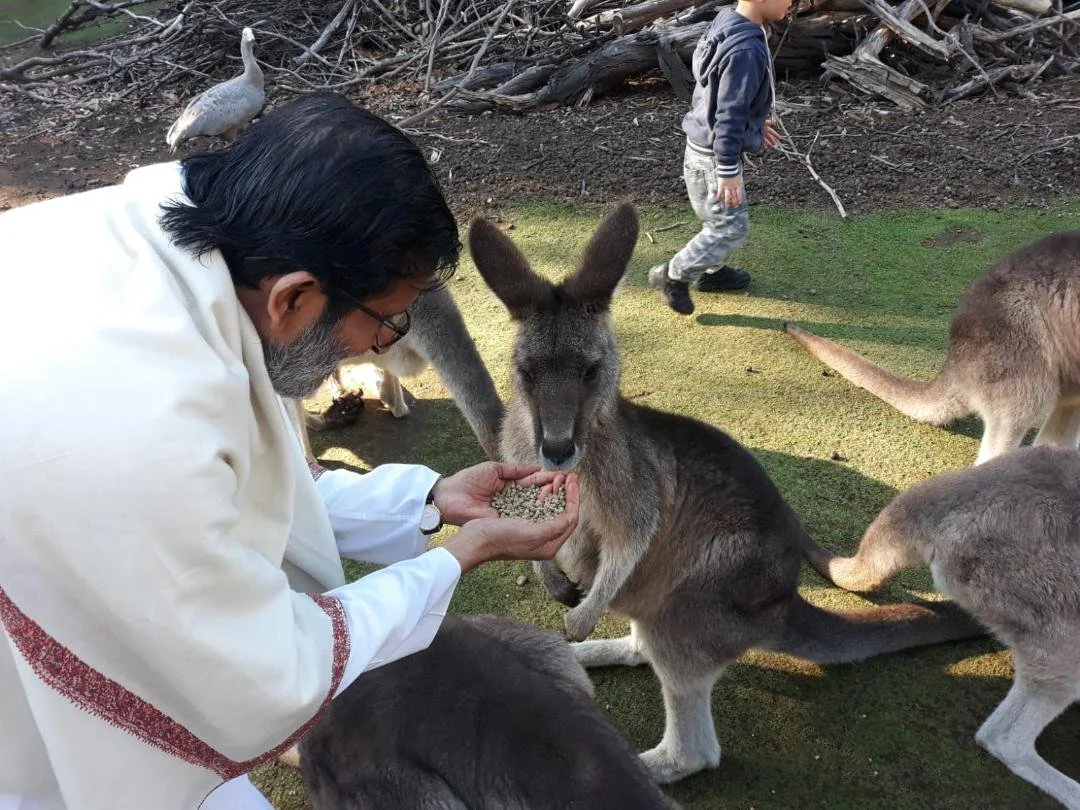 Babaji Kangaroos 2PHOTO-2019-04-16-04-40-28.jpg