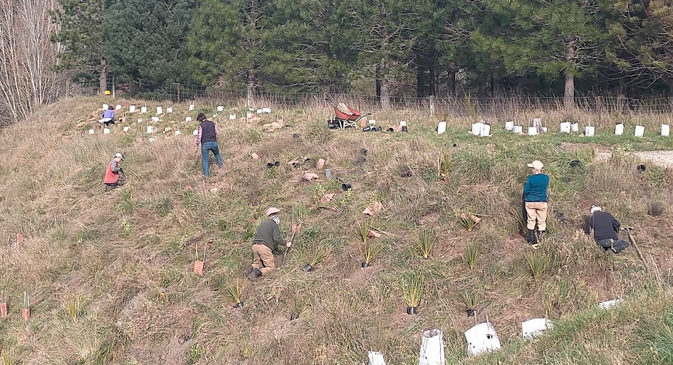 Planting Day