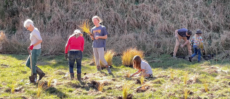 Community Planting Day