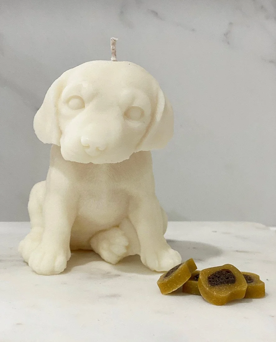 A candle shaped like a sitting dog with floppy ears, carved with details to resemble a realistic dog face, and some brown candies or gummies next to it on a white surface.