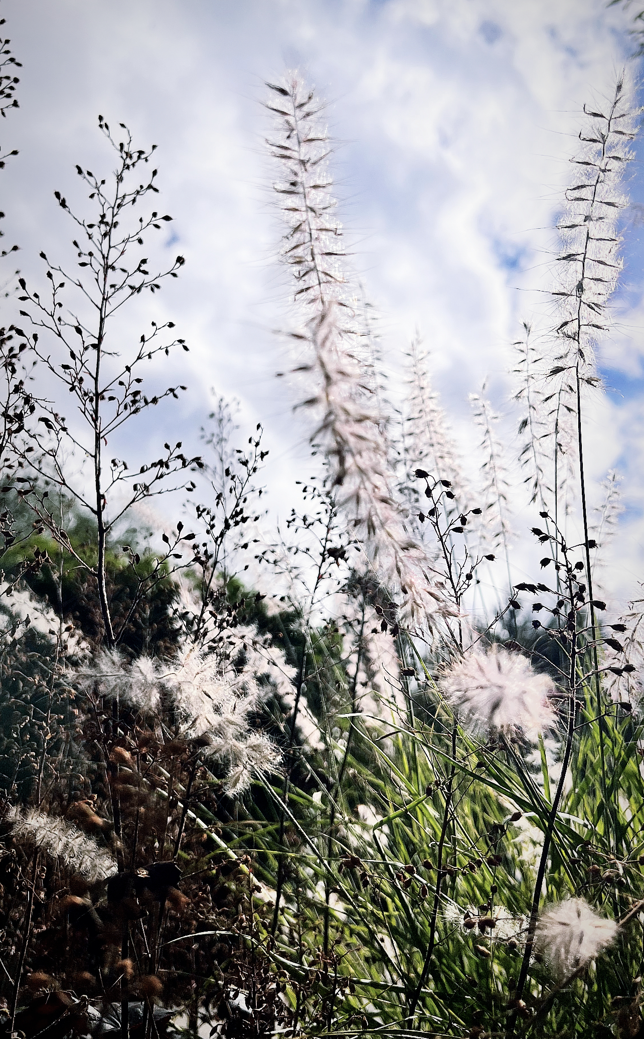 wheat-clouds-green-white-insurance-burnout-relationship-issues-Alexandria-Valline-Soulana-Sanctuary.png