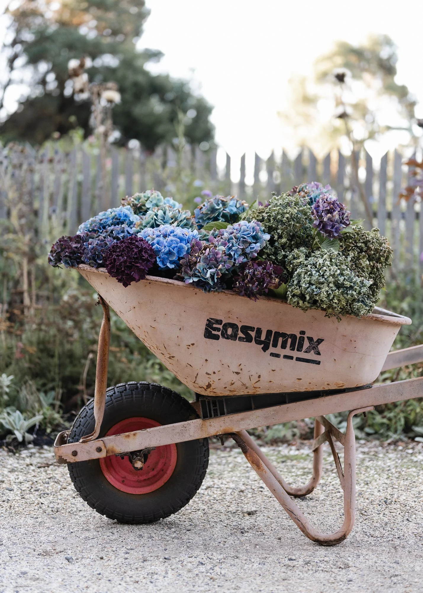 WEB-HANNAH_PUECHMARIN_greeting cards_2.jpg