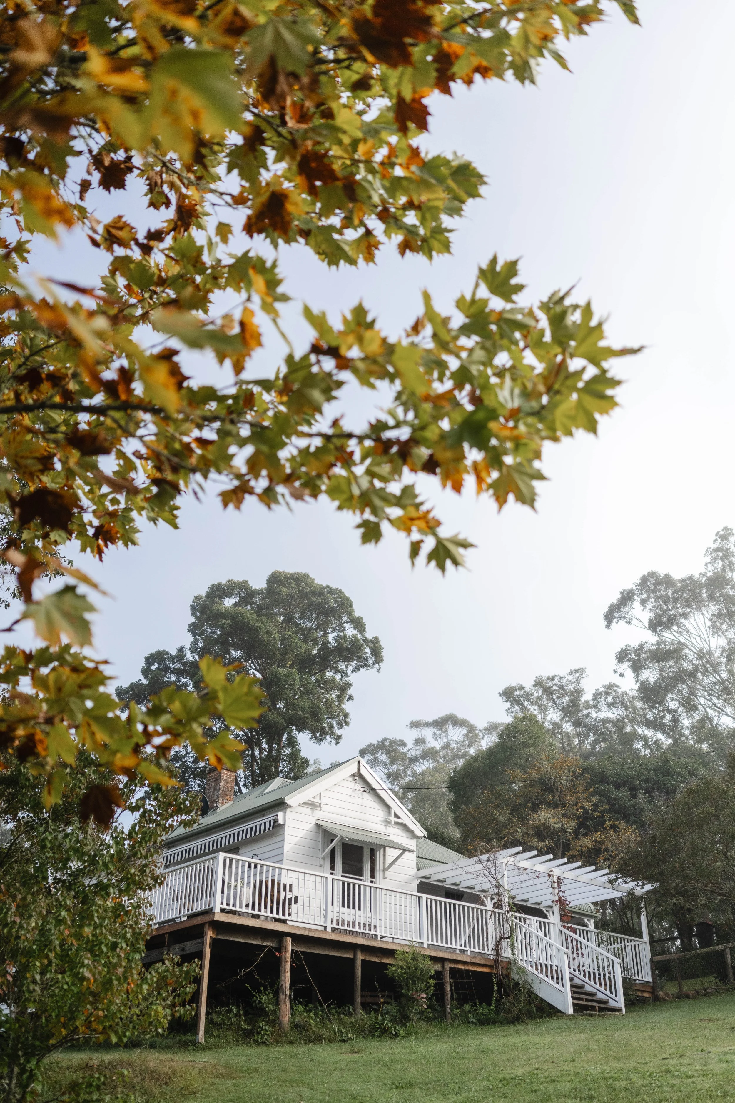 WEB_Hannah Puechmarin_nerreman cottage wollombi_13.jpg