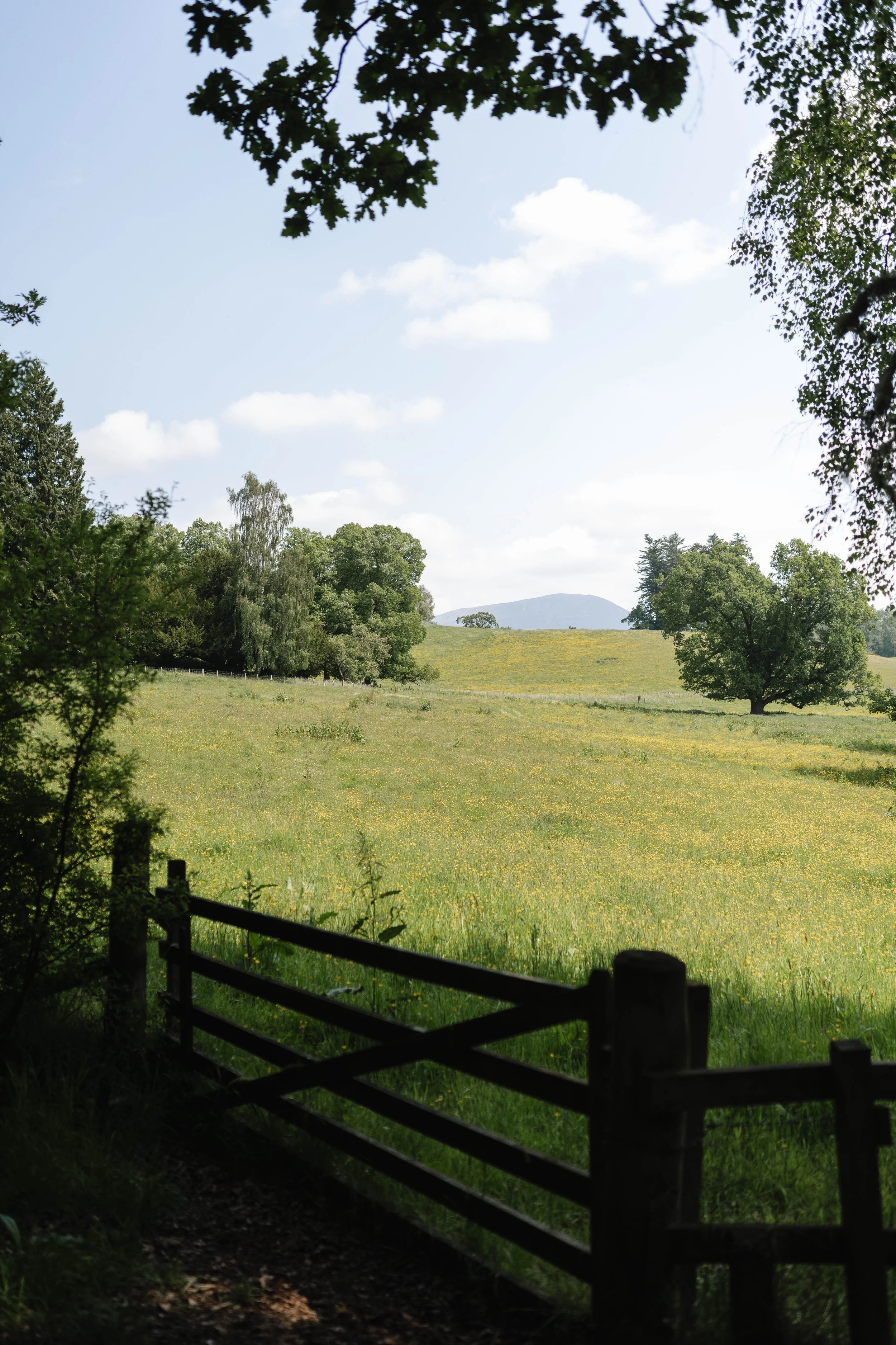 WEB_HANNAH_PUECHMARIN_HIGHLANDS_44.jpg