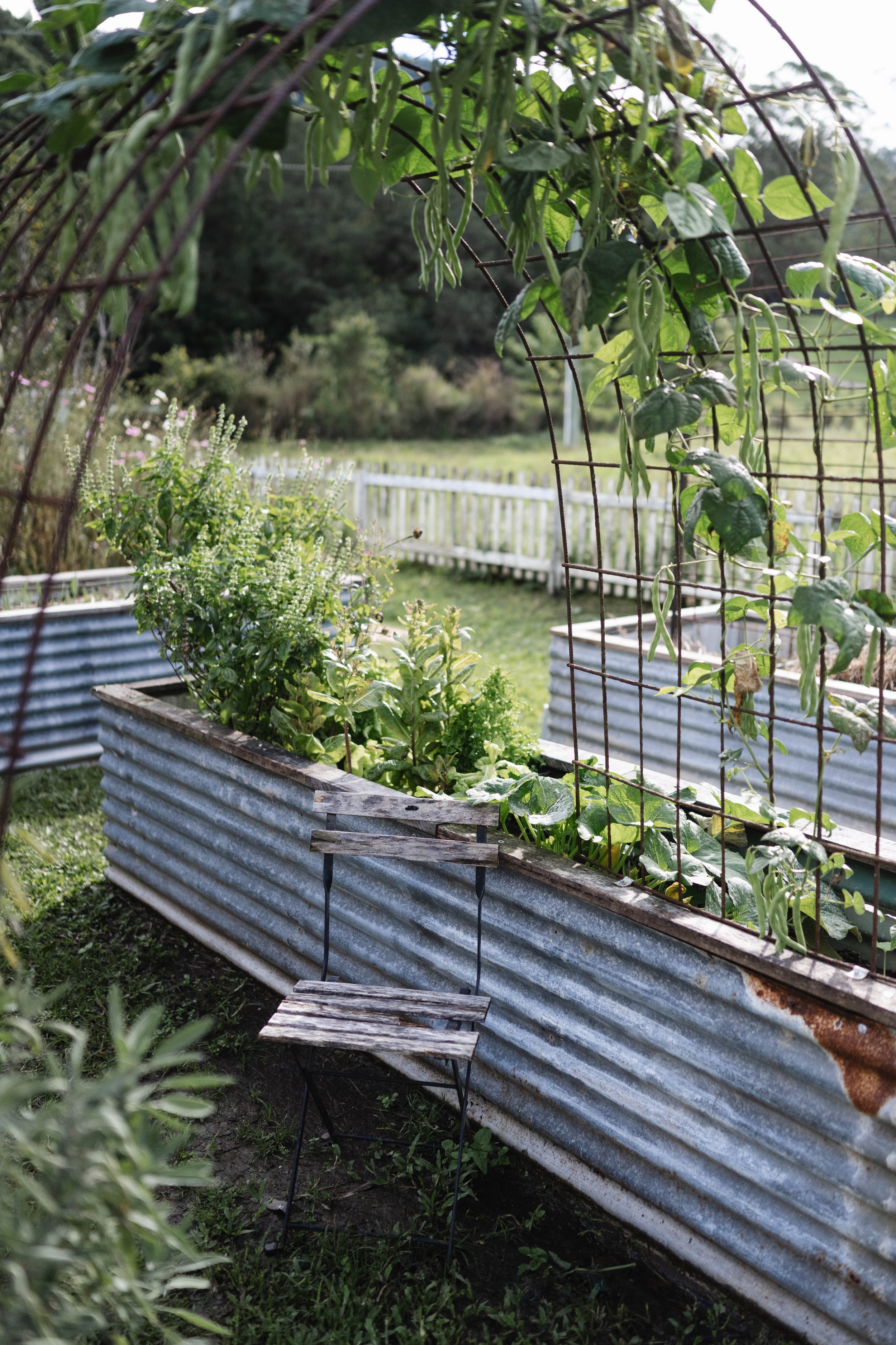 WEB_HANNAH_PUECHMARIN_may workshop palmer and gunn_6.jpg