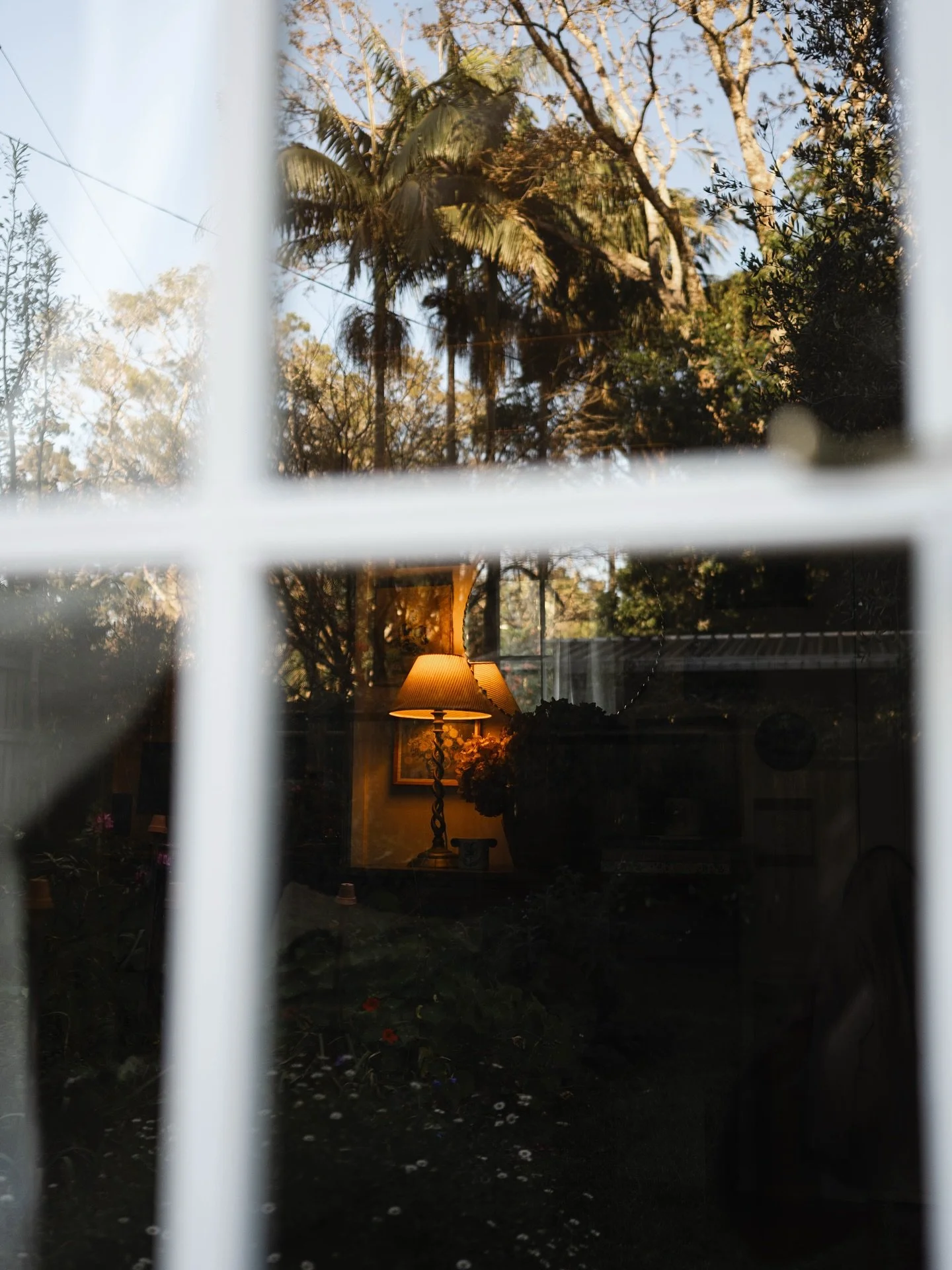 A life update&hellip; 

Our cabin in the woods has been a cradle through some crazy and challenging times. We survived a pandemic, flooding and a cyclone. We lost Arthur. We&rsquo;ve grown and changed.

In fact, our lives have changed dramatically si
