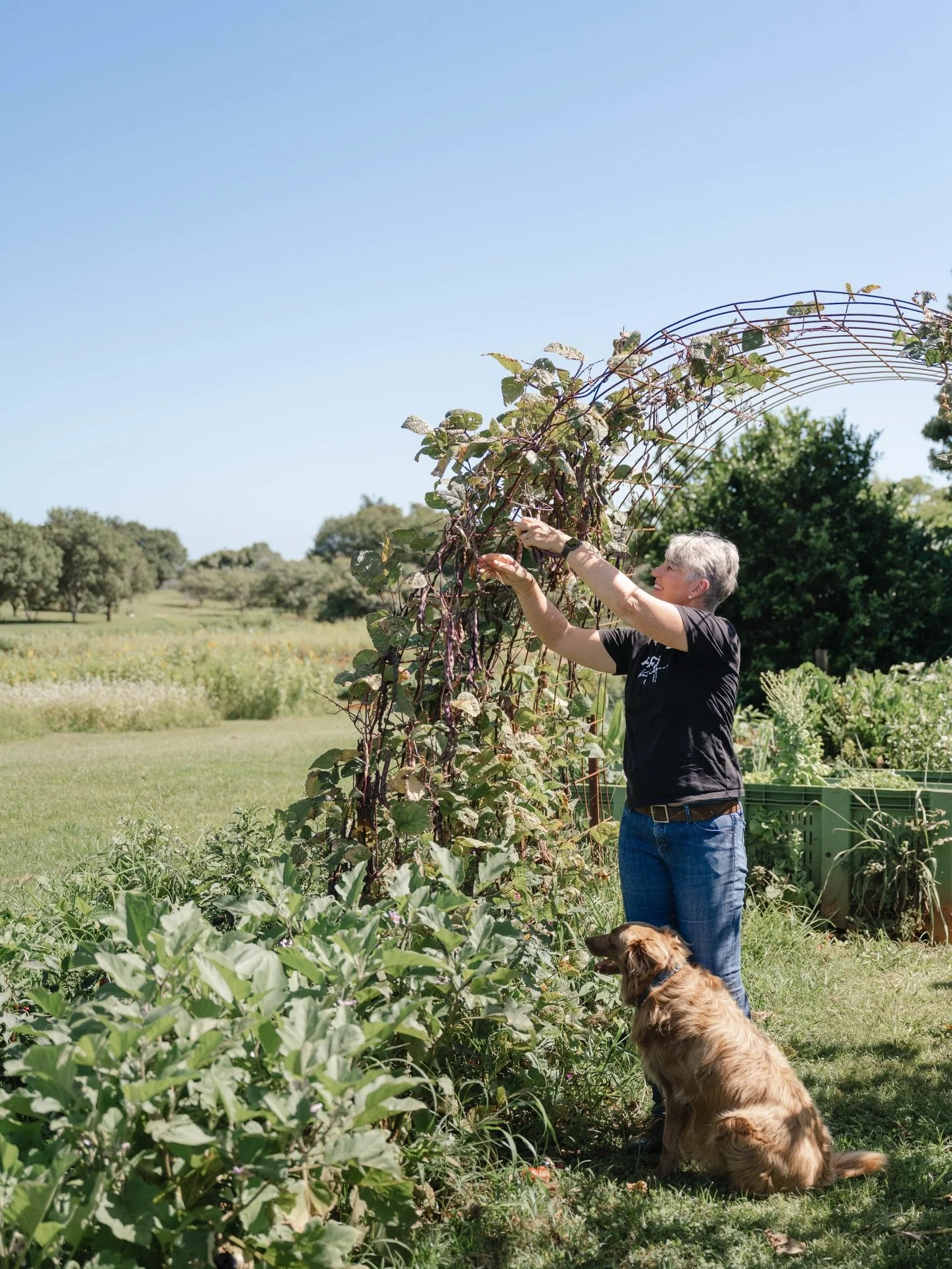 &ldquo;The women of the Tweed are growing more than just food. On Bundjalung Country in the Northern Rivers of NSW, they are reshaping the region&rsquo;s culinary culture, placing community at the heart of everything they do&rdquo; 
- Christine Aldre