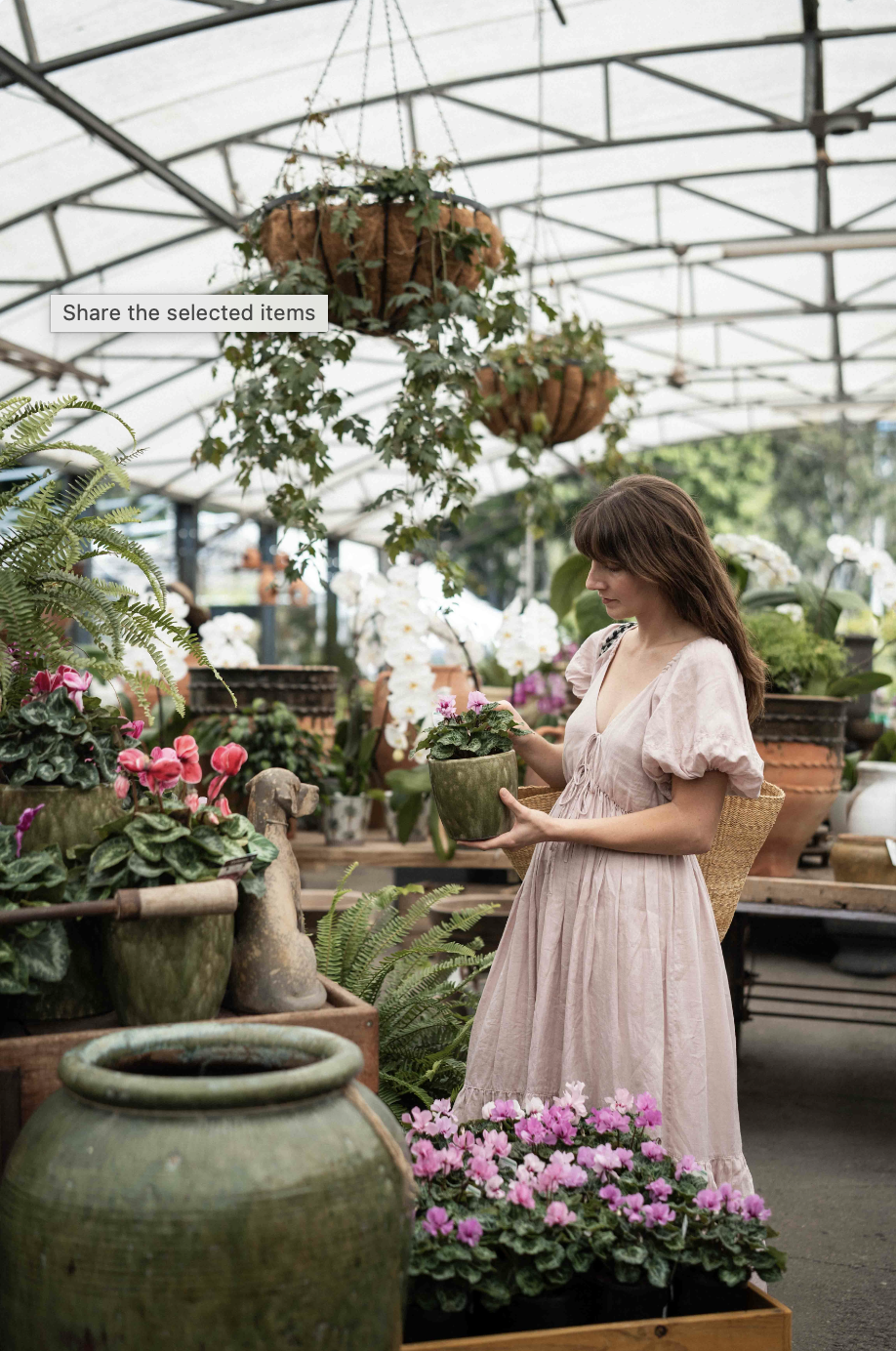 Morning tea with the author – Brookfield Gardens, Qld