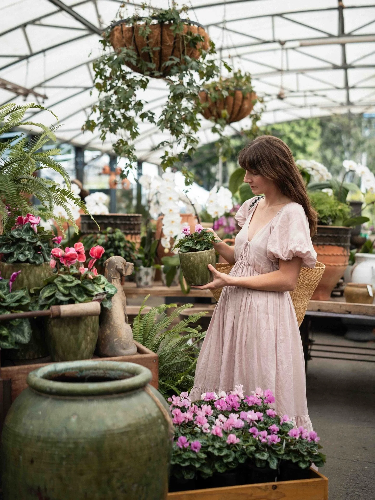 Have you been to @brookfieldgardens? 

It&rsquo;s my favourite garden centre in Brisbane. Situated in the leafy western suburbs, their displays are always considered, colourful, and full of the best collection of pots! 

It&rsquo;s with much delight 