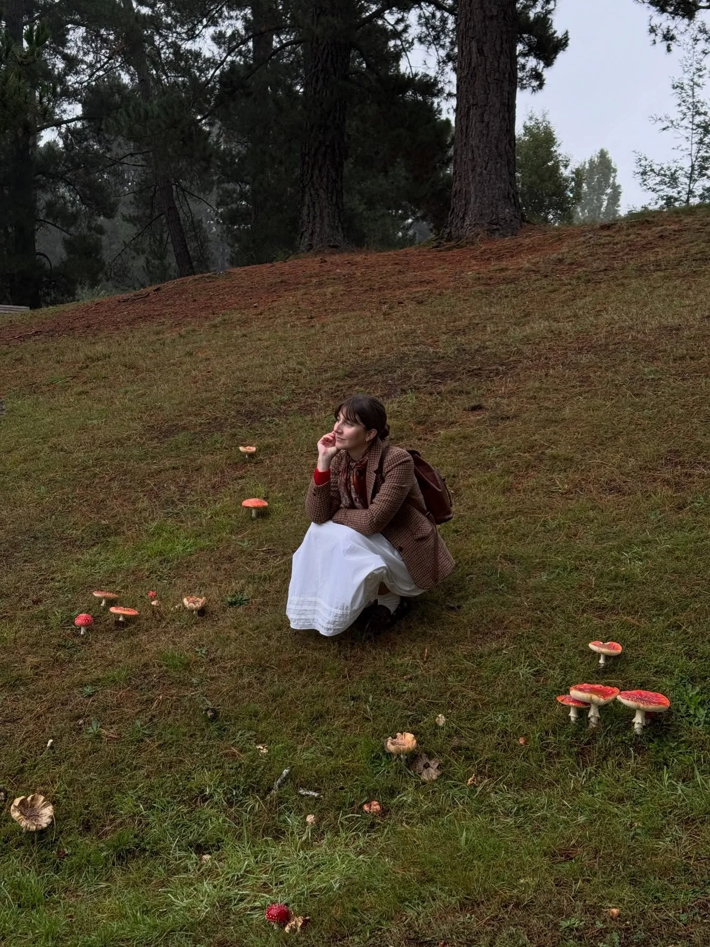 Lately from my camera roll&hellip; 

In the background of life as a newly published author, there is so much other life going on. 

1. Taking a moment amongst the toadstools in Daylesford. 
2. My Japanese anemones at Mount Glorious. 
3. Watching how 