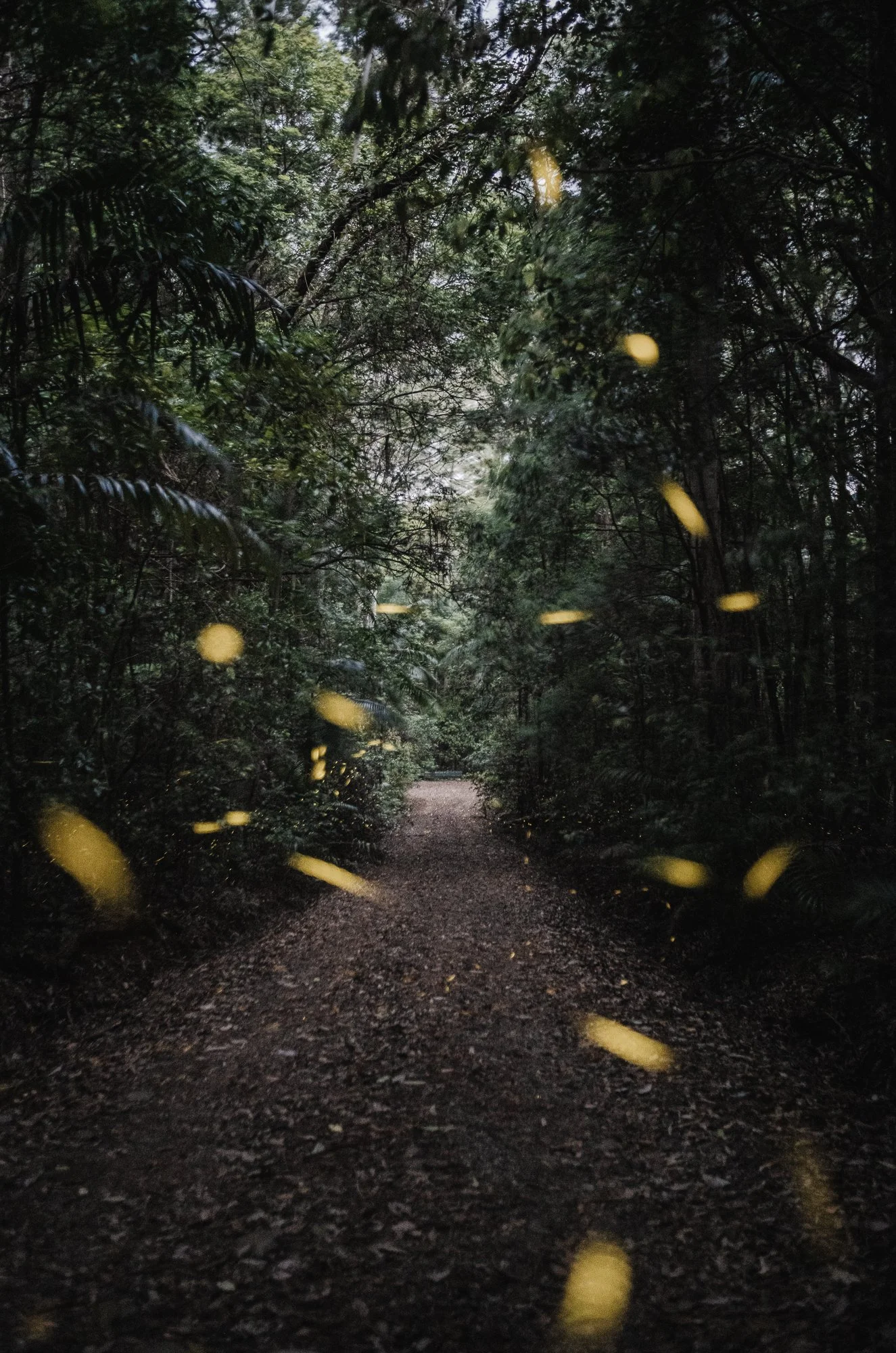 On selling my soul and leaving a garden behind