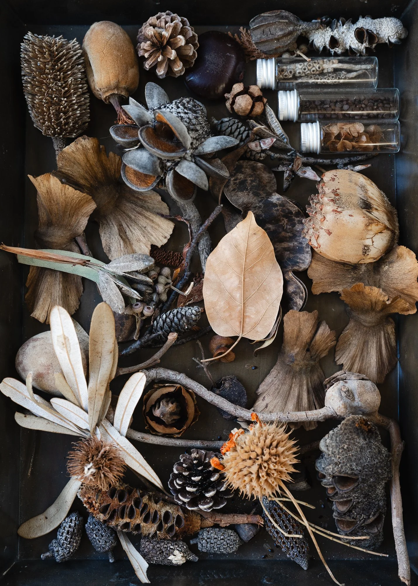 WEB-Hannah Puechmarin_greeting cards_5.jpg