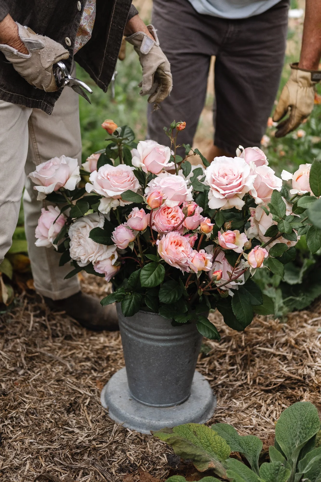 The Book Bouquet Mother’s day event – Ipswich