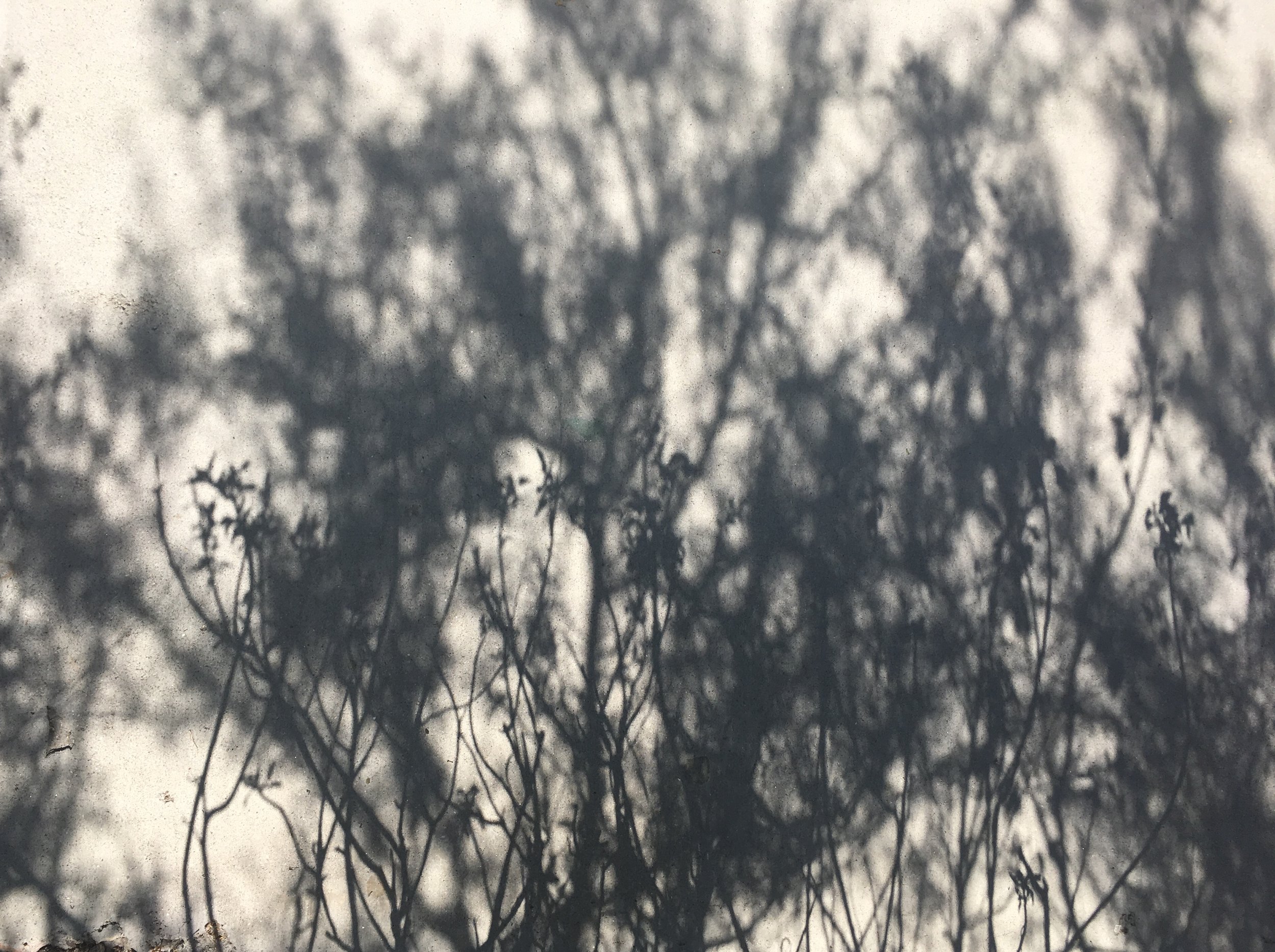 In The Shadows