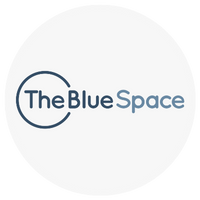 Logo of The Blue Space featuring blue and gray text on a white background