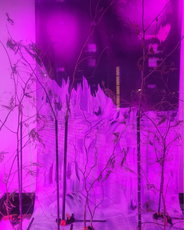 Screenshot+2026-06-06+175207.png
