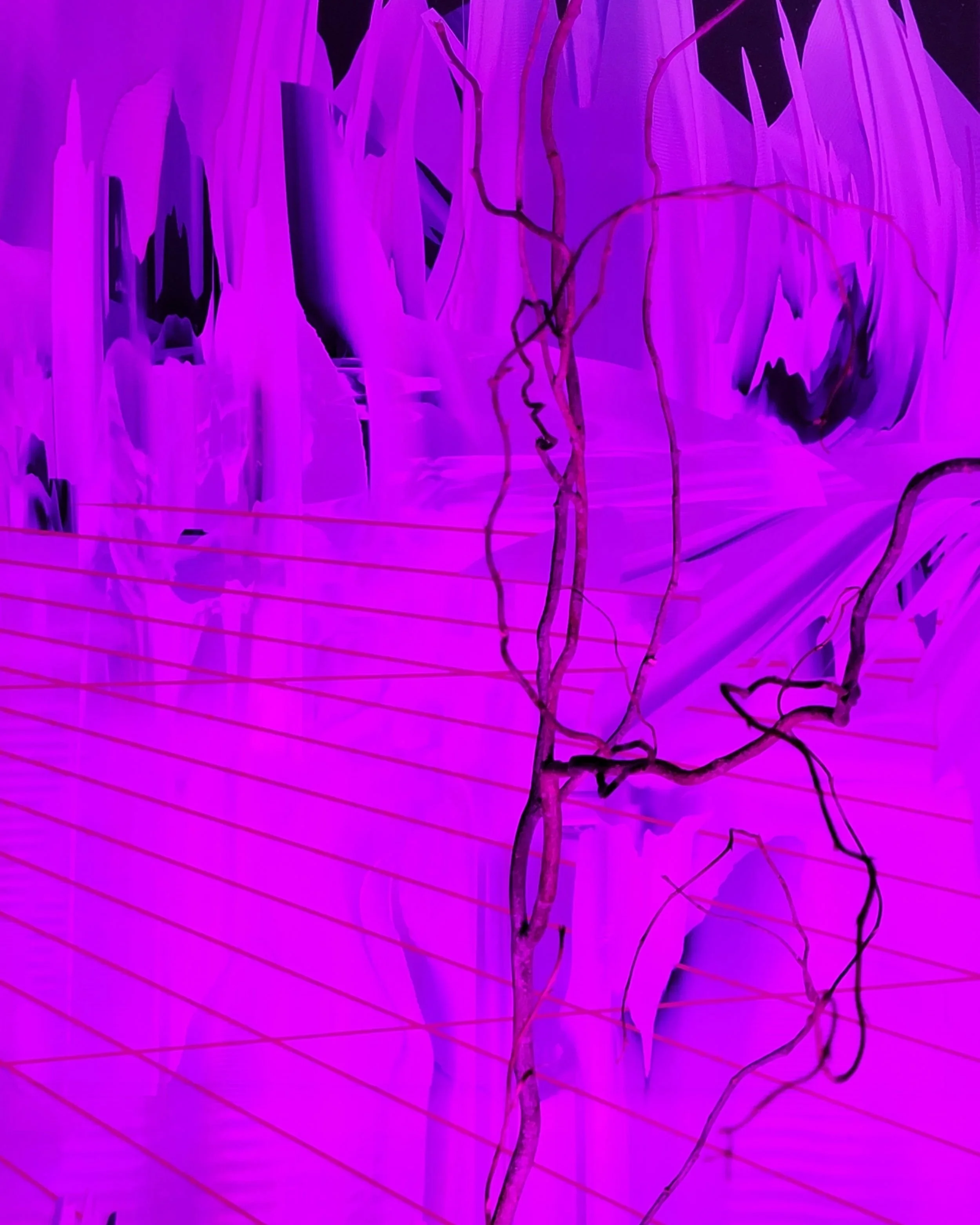 20230628_153038.jpg