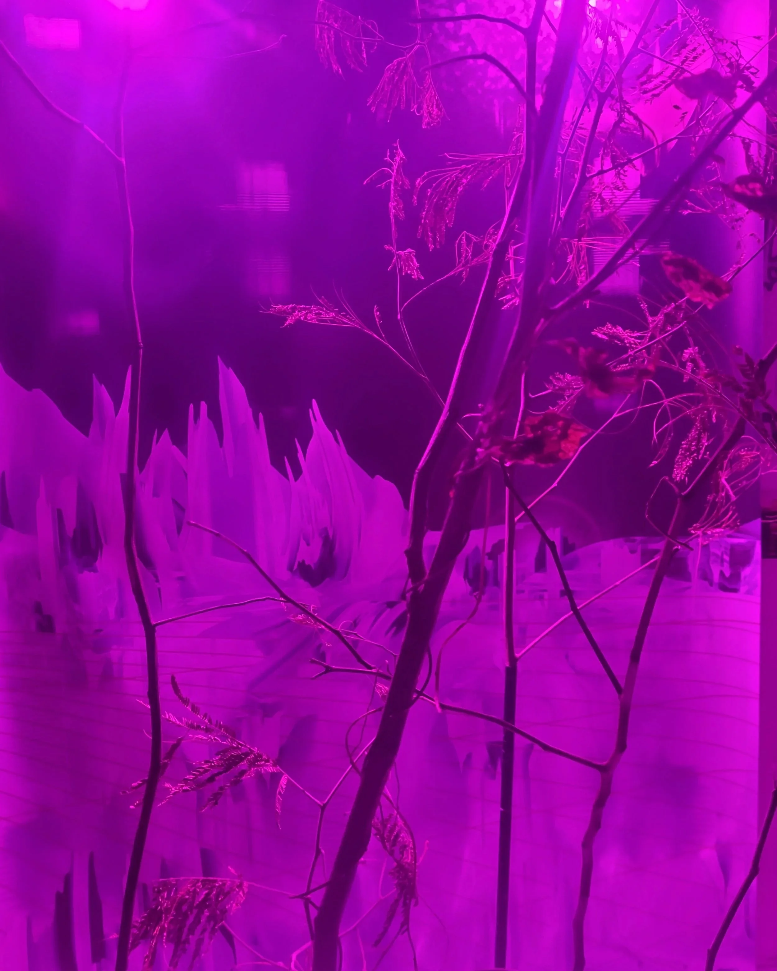 20230726_181153.jpg