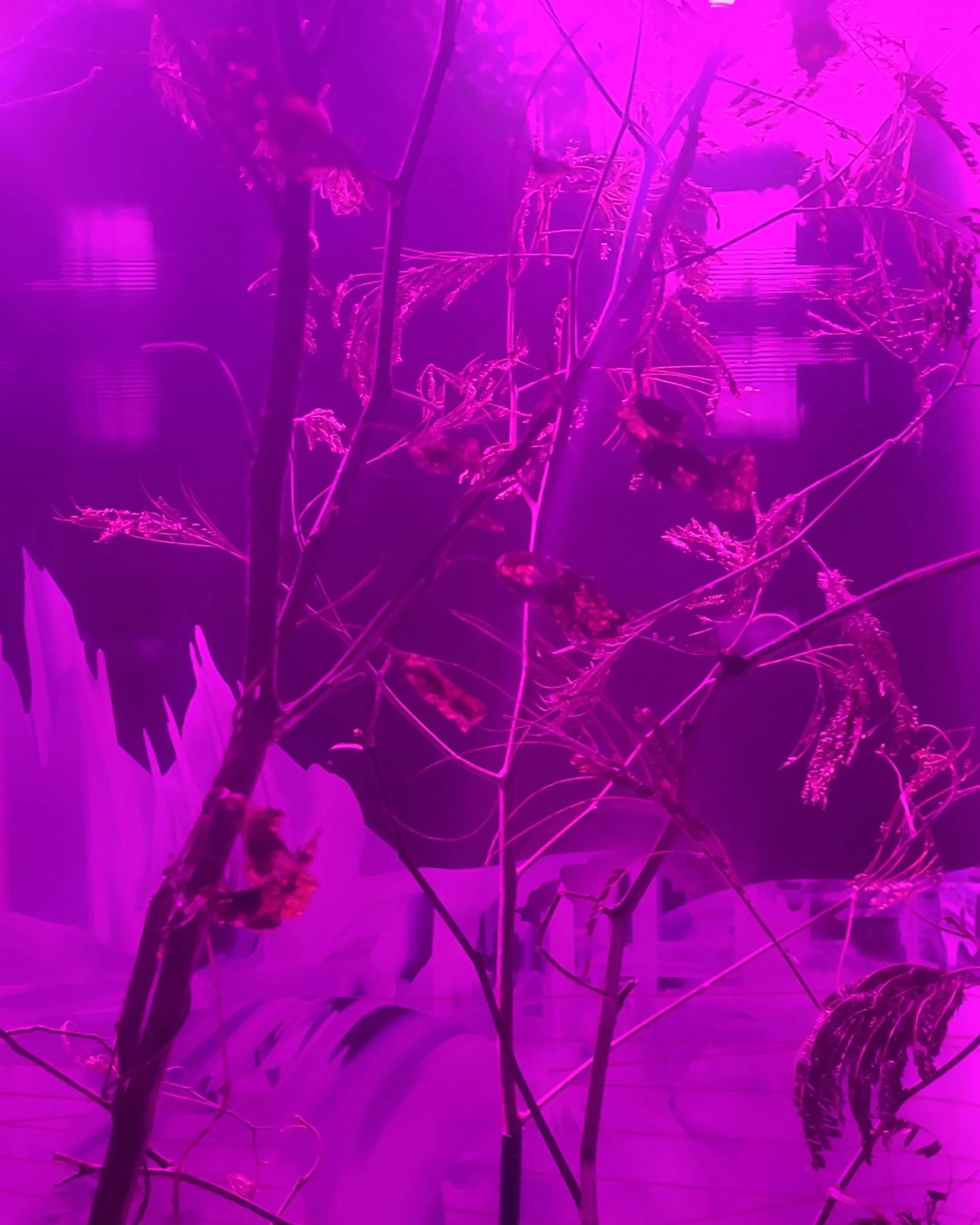 20230726_181234.jpg