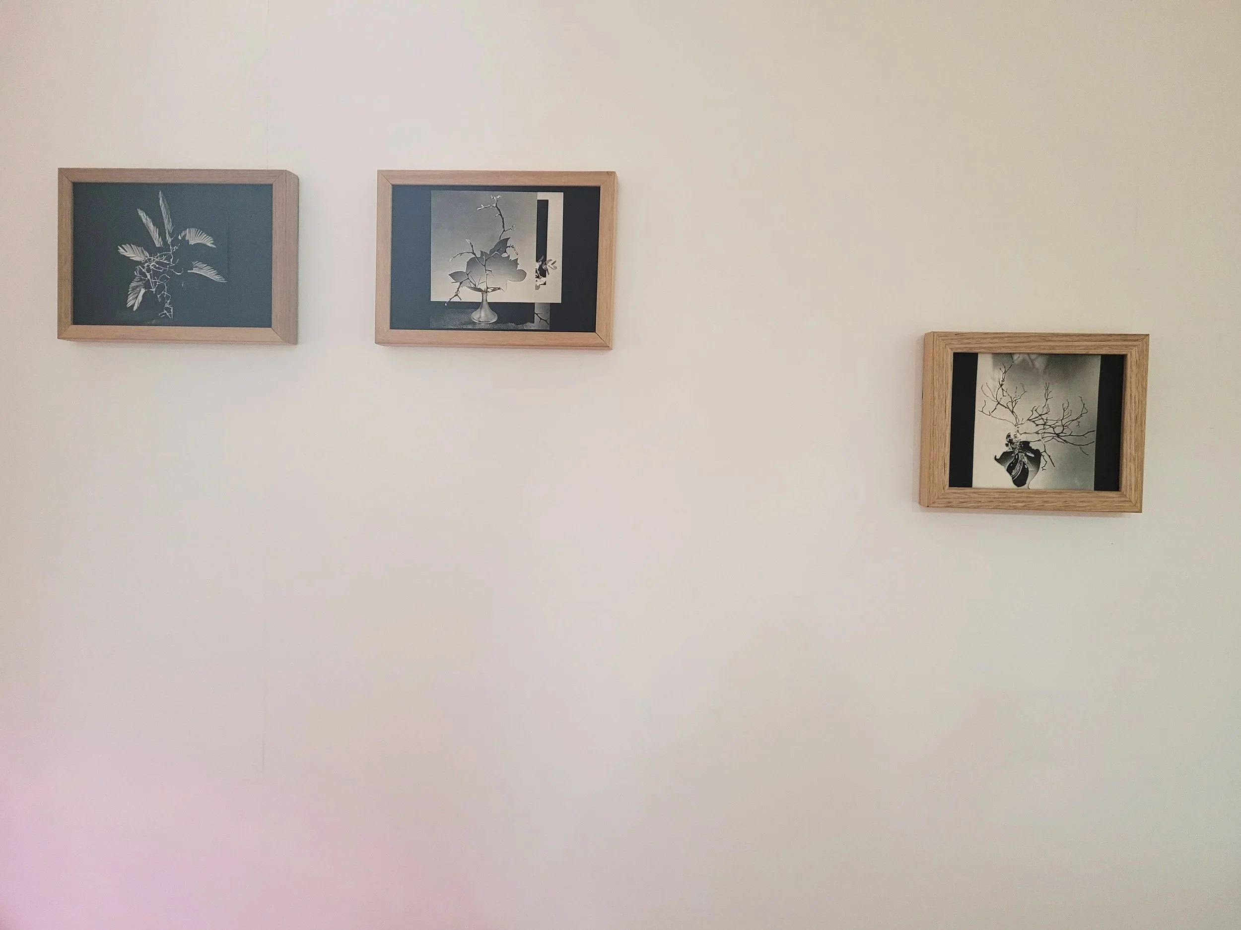 20230803_180017.jpg