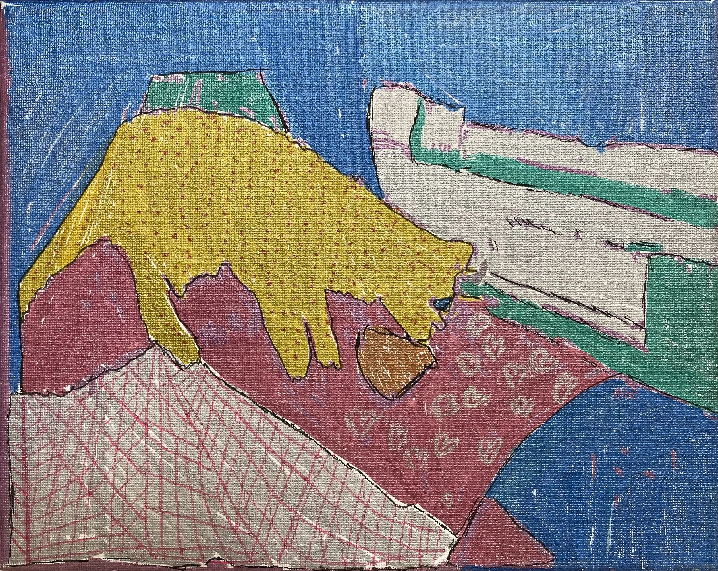 Spider Cat - Alex Walker