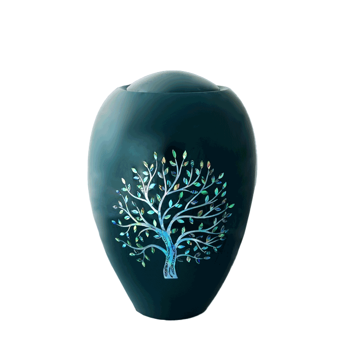 Tree of Life Shell Adult.jpg