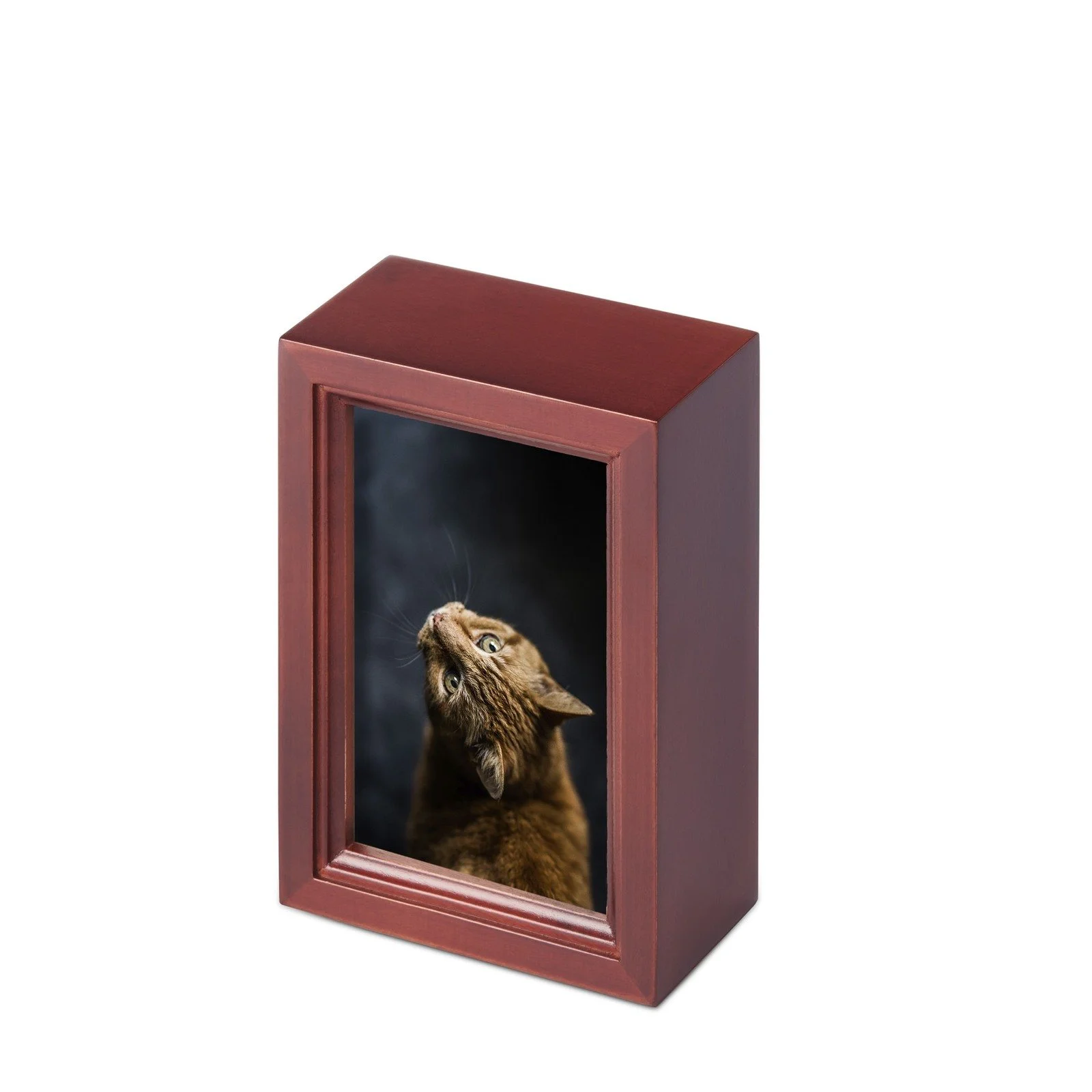 Wood Photo Small 500mnl.jpg
