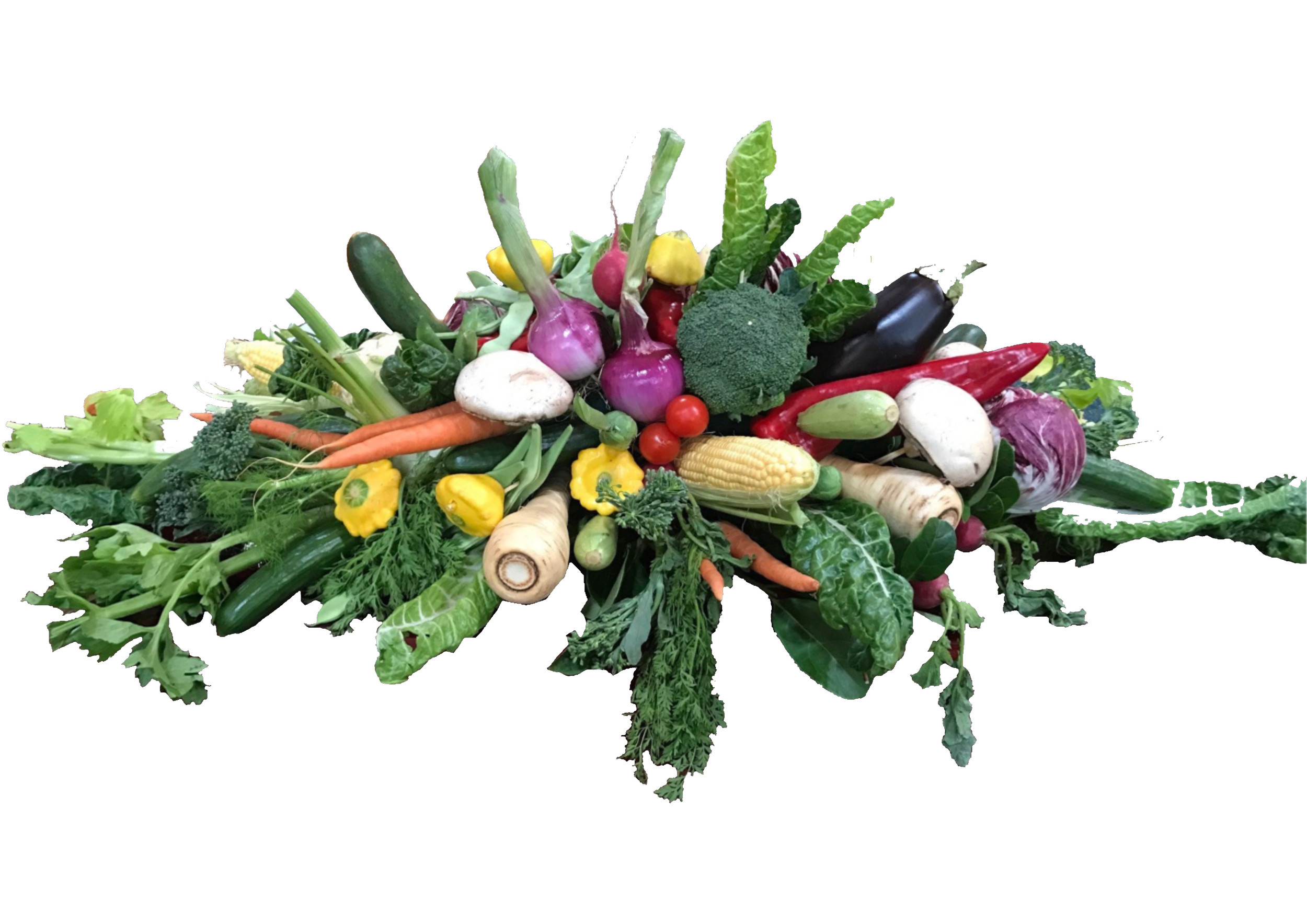 Seasonal_Vegetables.png