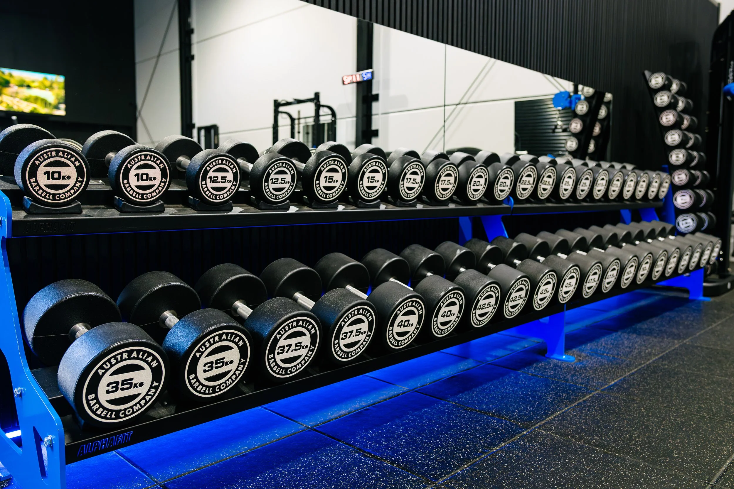 Custom_Muscle_Gym_Nat_Low-61.jpg