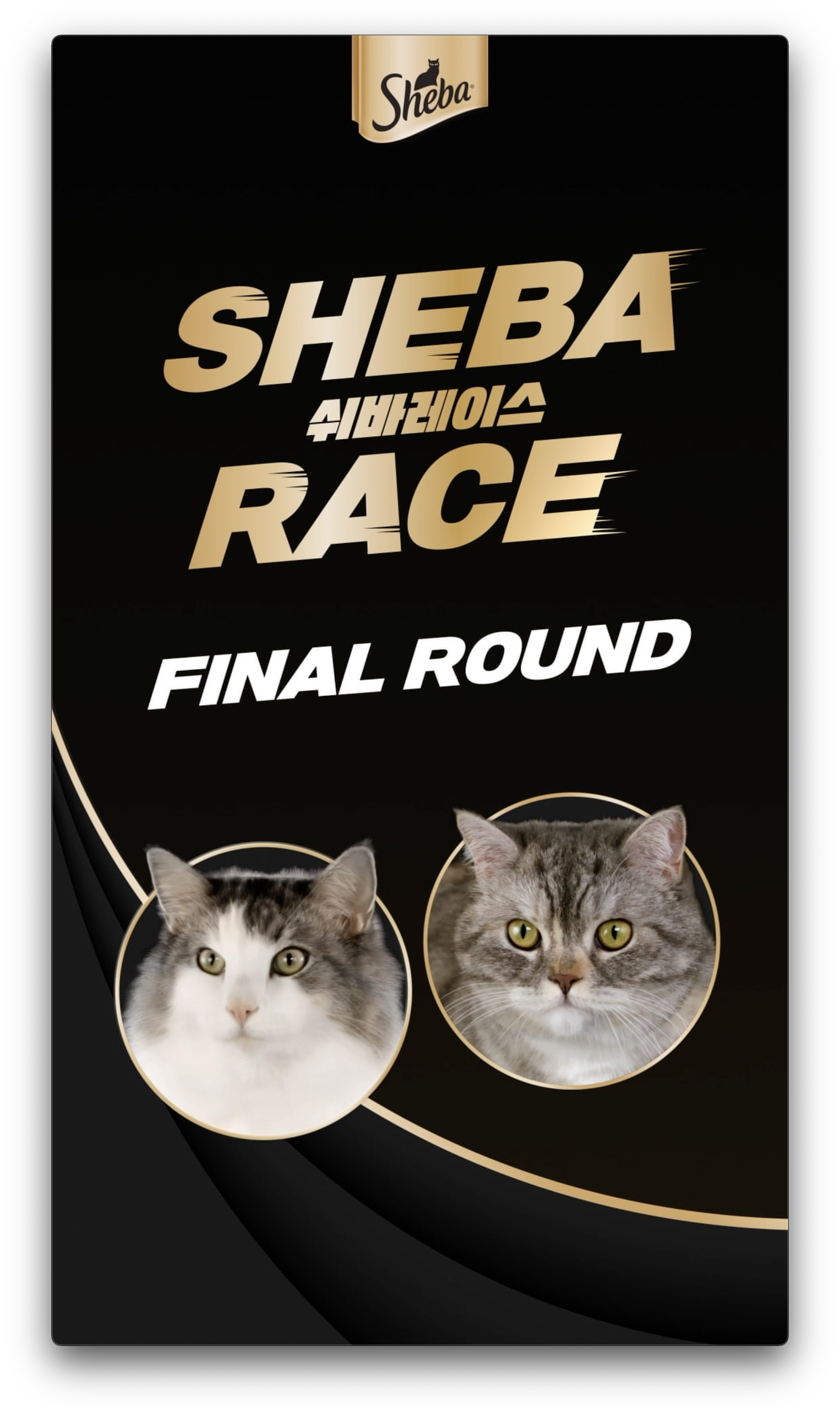 쉬바레이스 Final Round