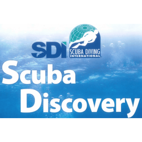 sdi discover scuba.png