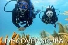 discover%2Bscuba%2B1.jpg