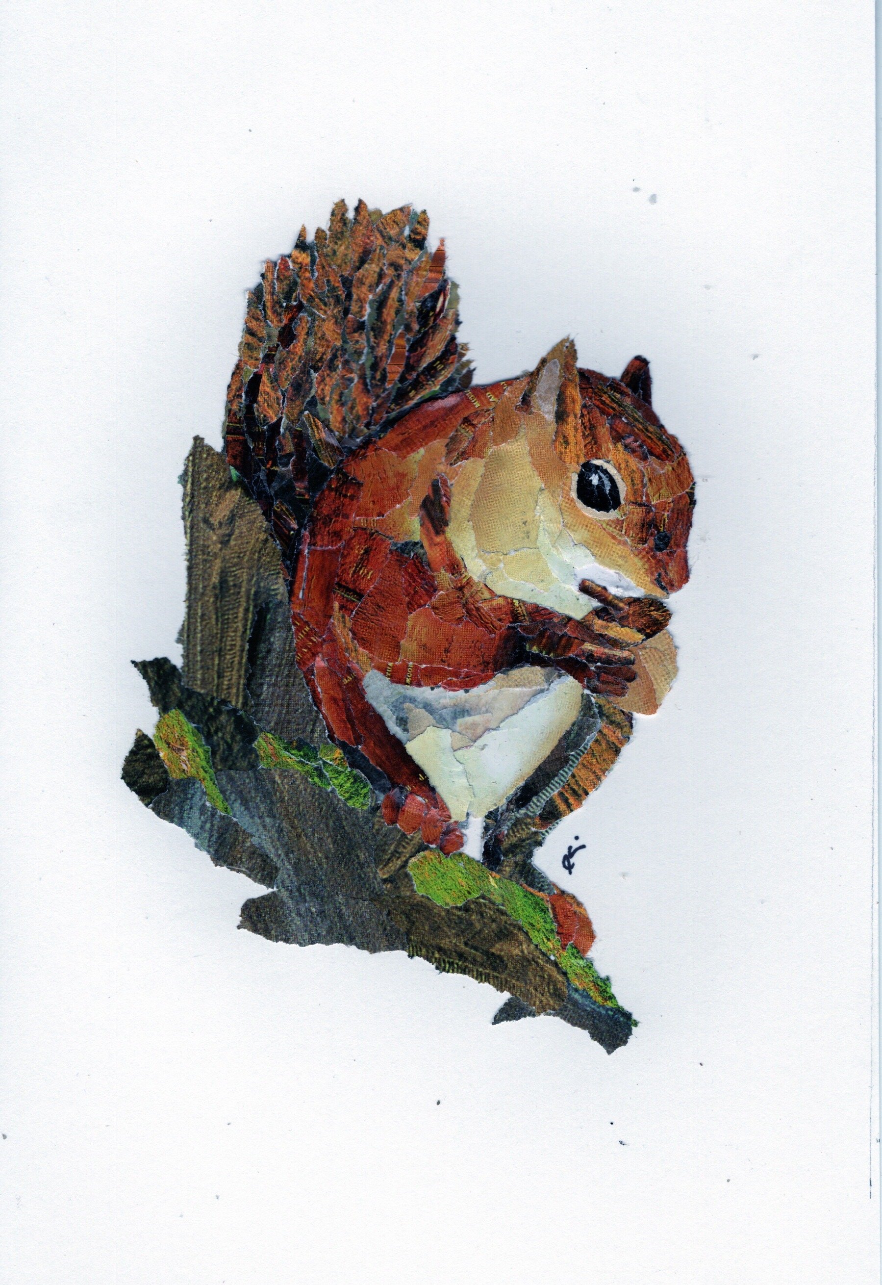 "Squirrel" (5x7)