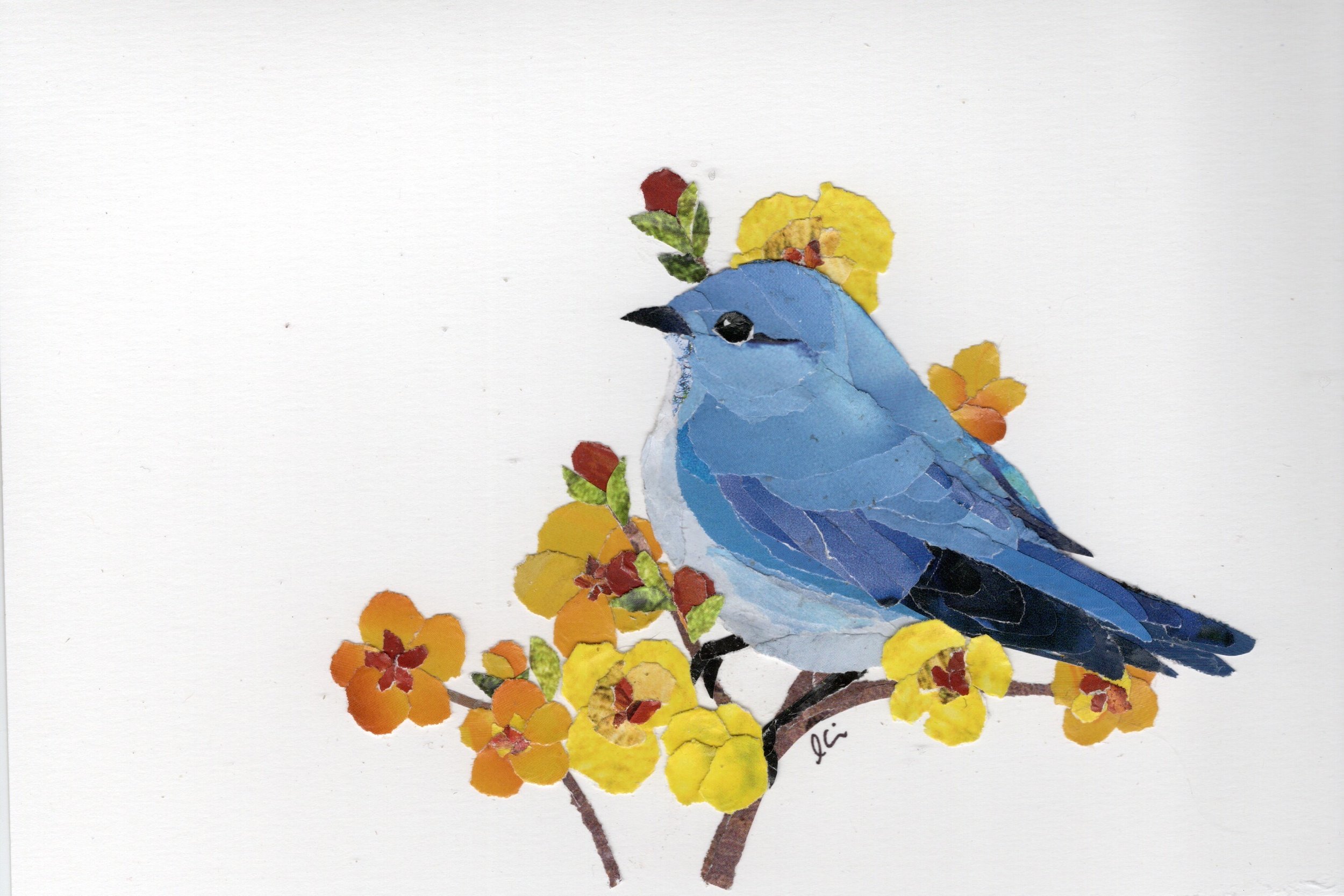 Mountain Blue Bird Sitting Among Yellow Flowers
