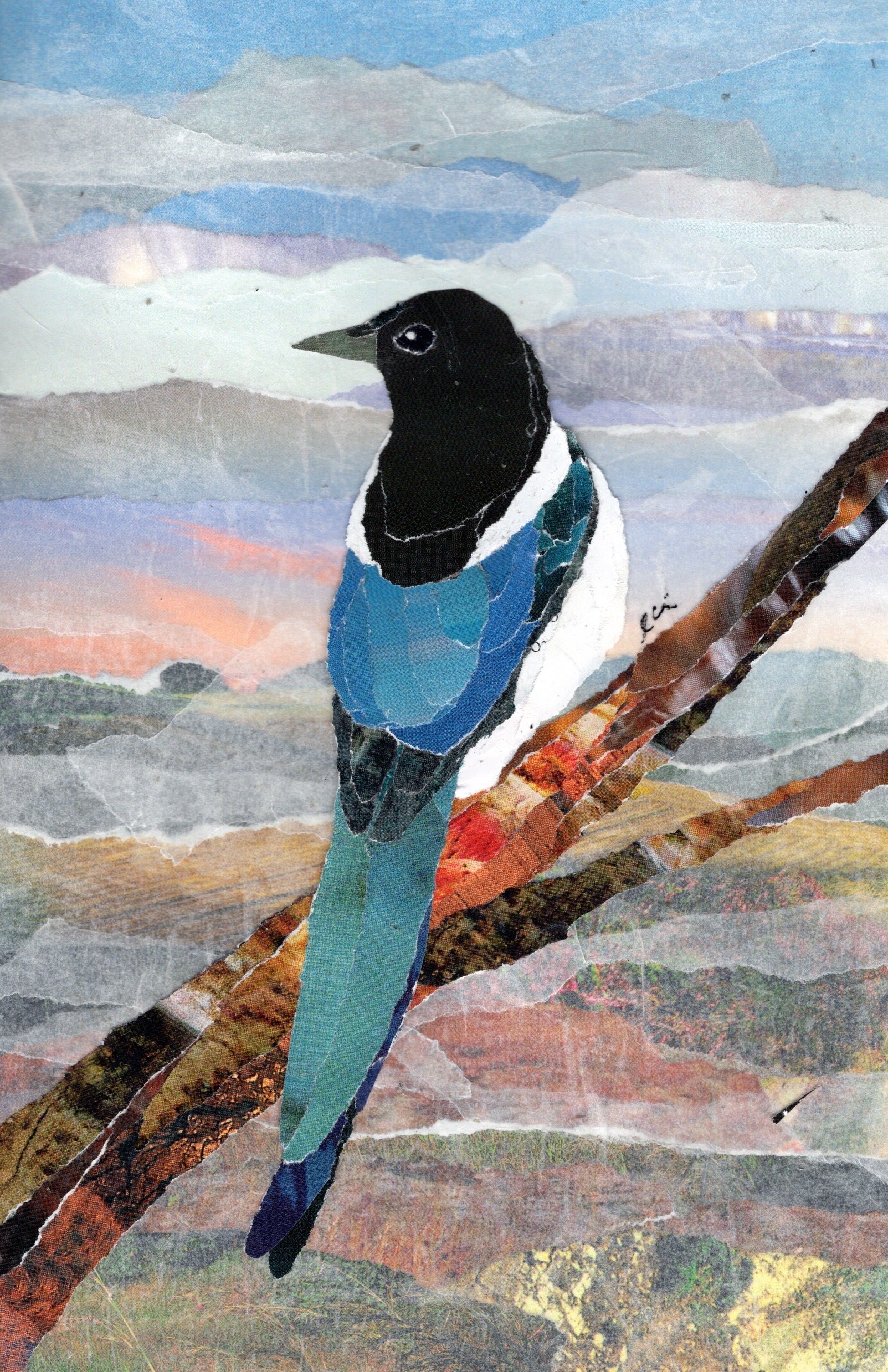 Black Billed Magpie with Mounains