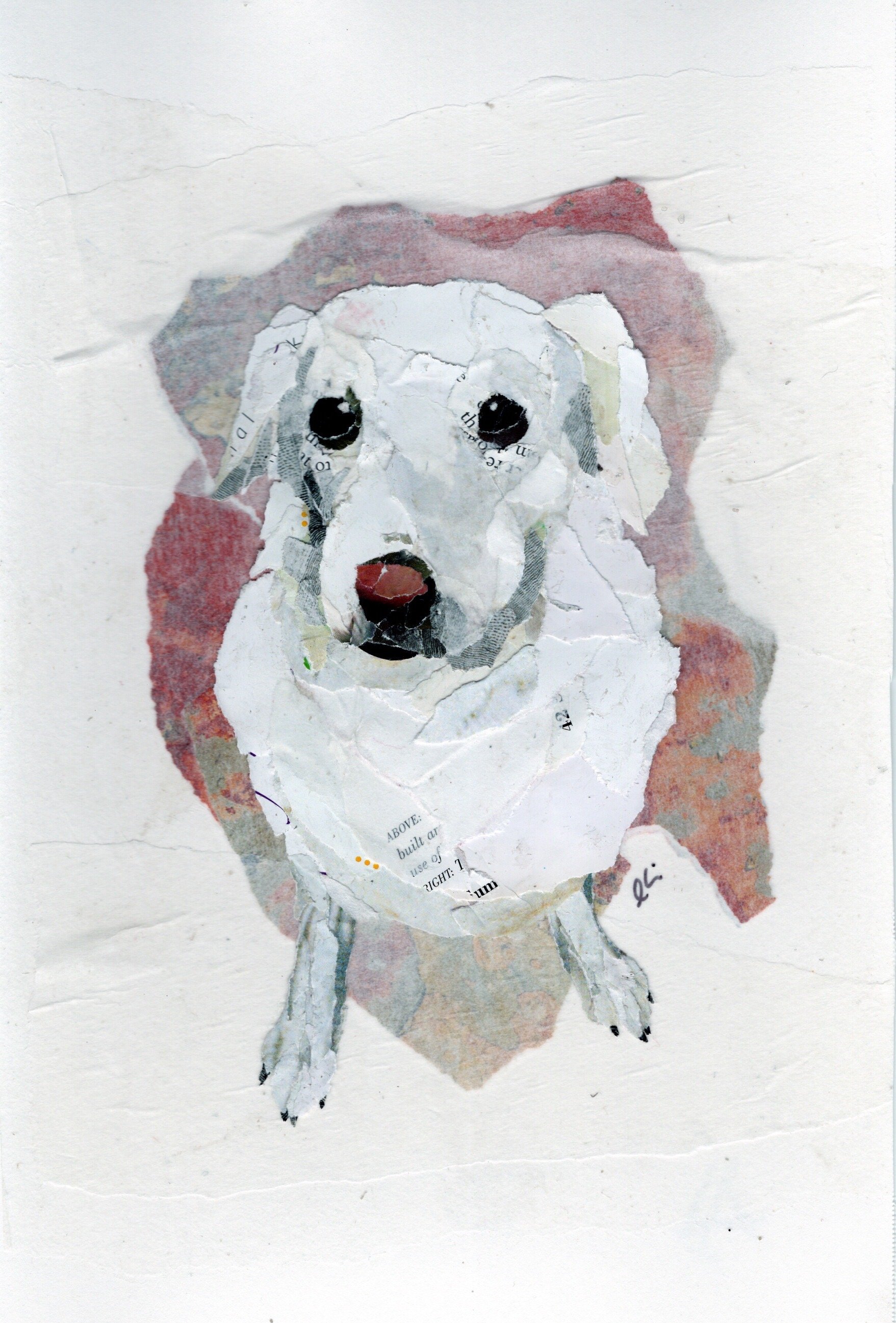 Large White Dog with a Pink Nose
