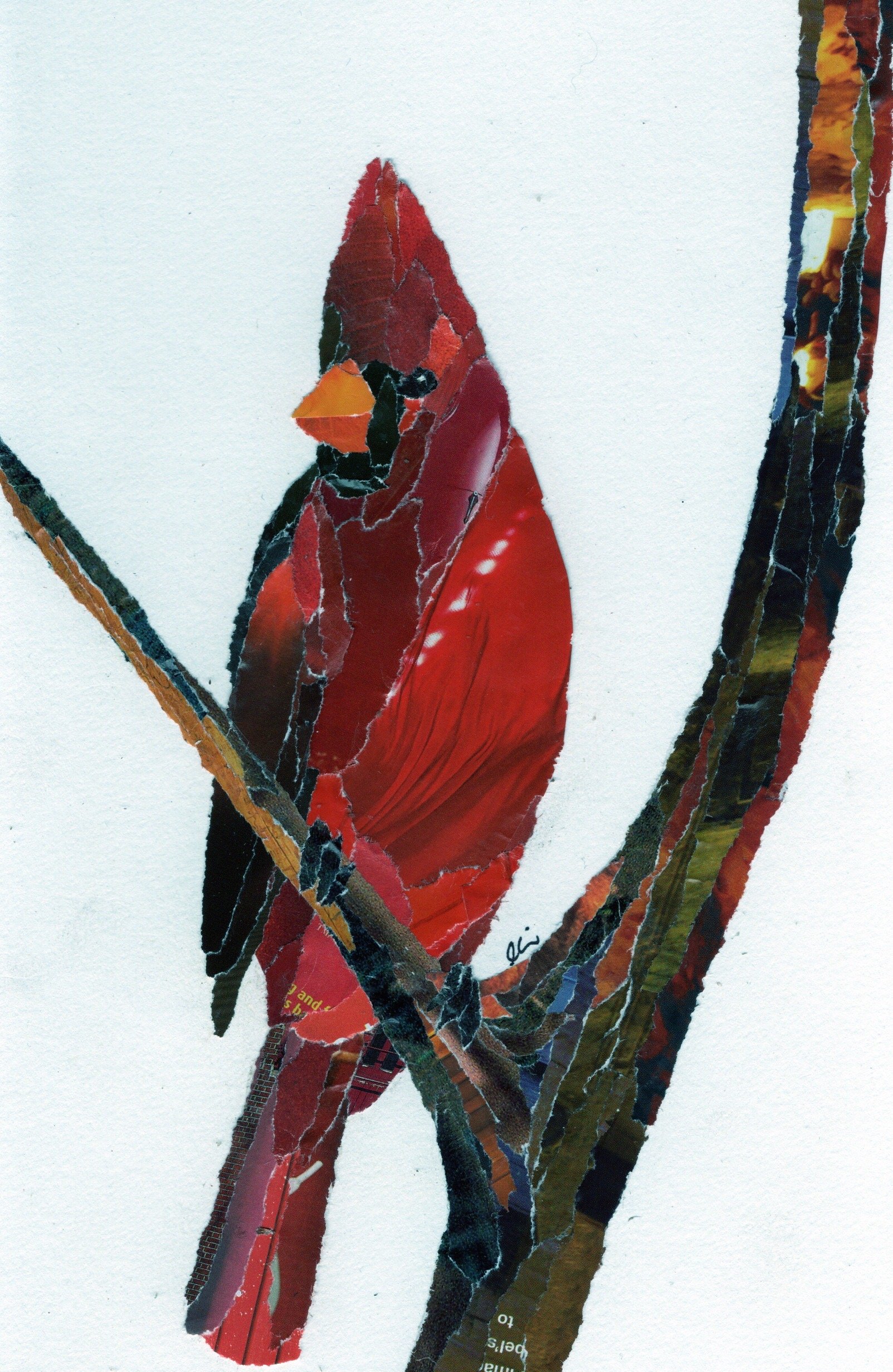 Cardinal Sitting on a Branch